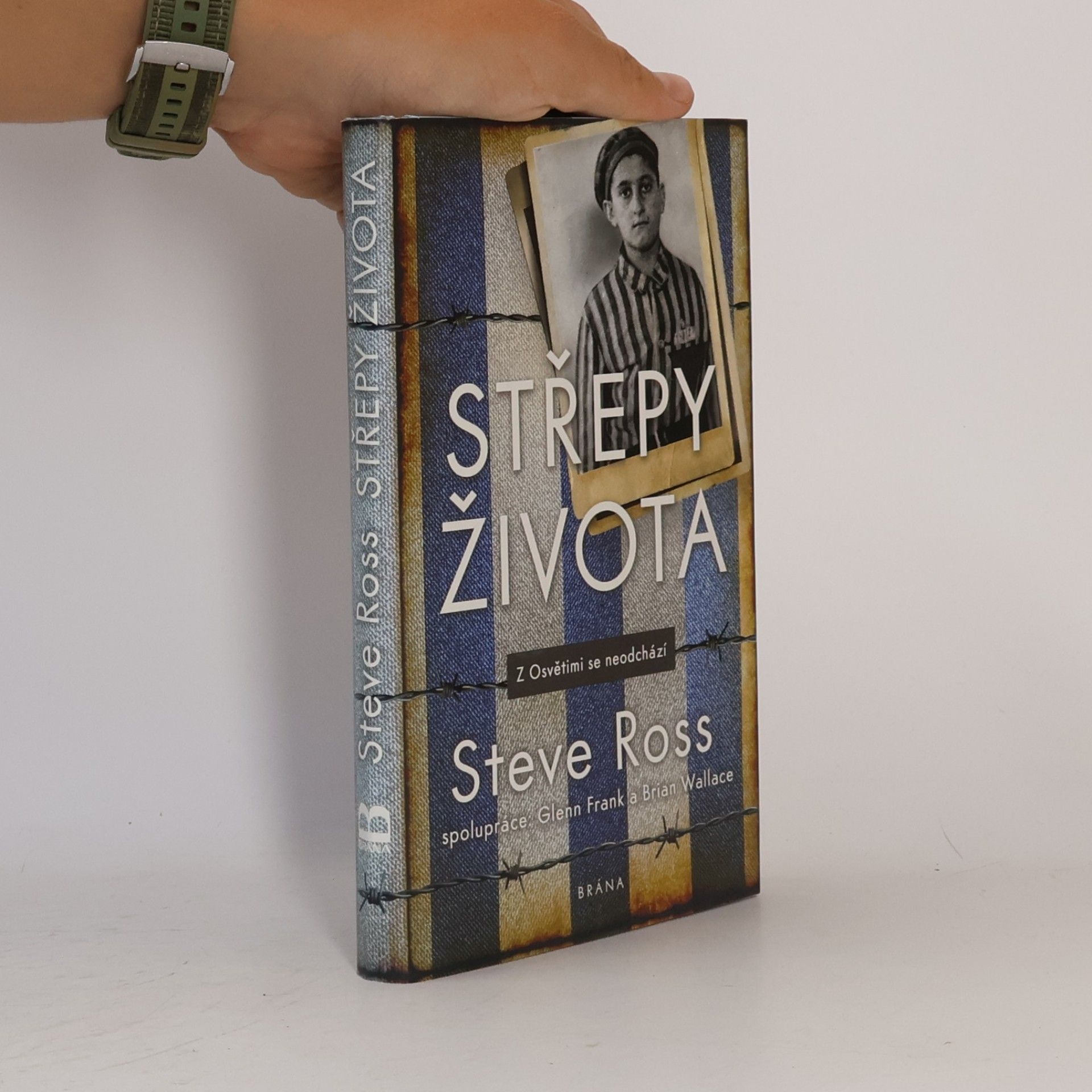 Brian Wallace Střepy života