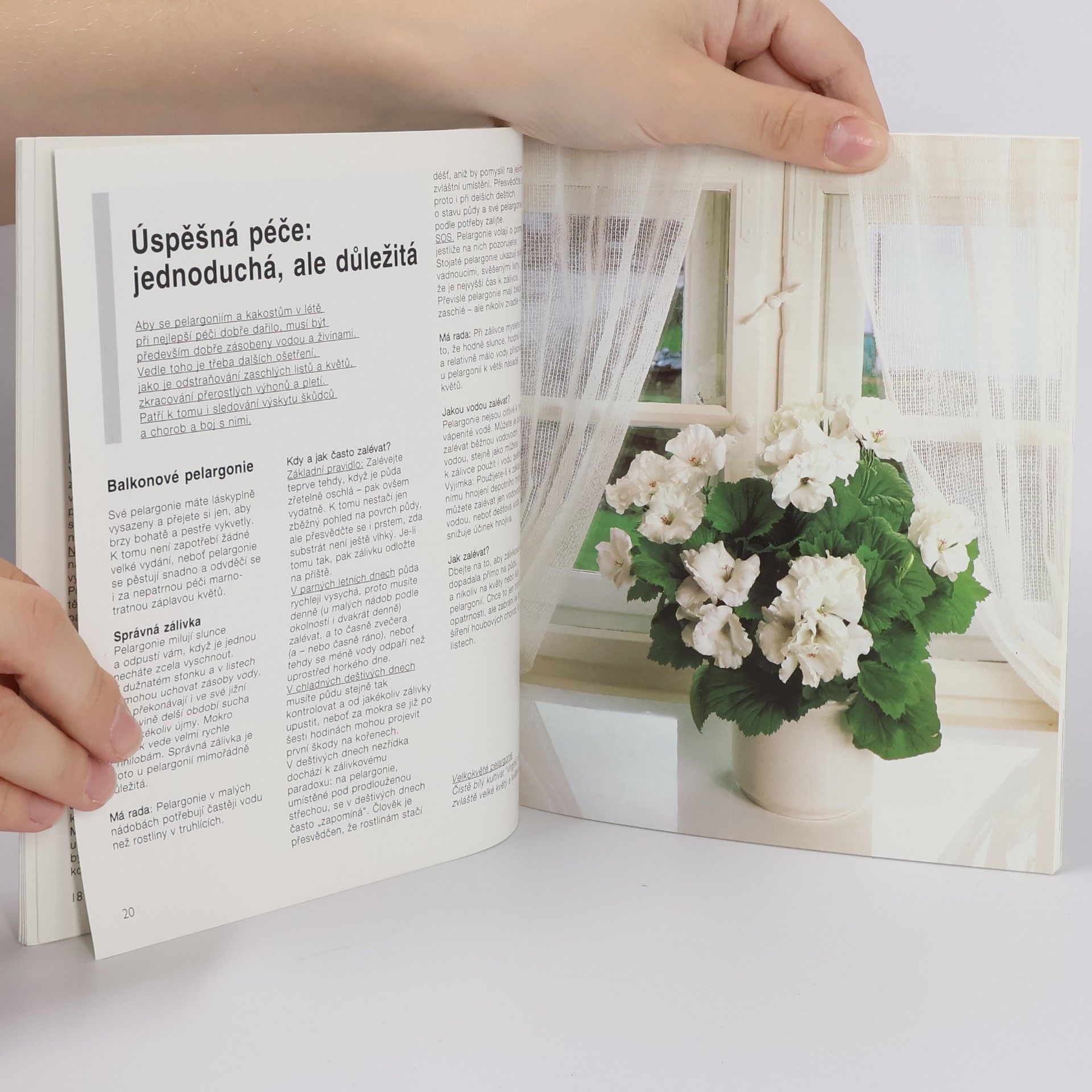 Andreas Riedmiller Pelargonie a kakosty: Aby vám bohatě kvetly: Rady odborníků pro nákup, pěstování a množení pelargonií