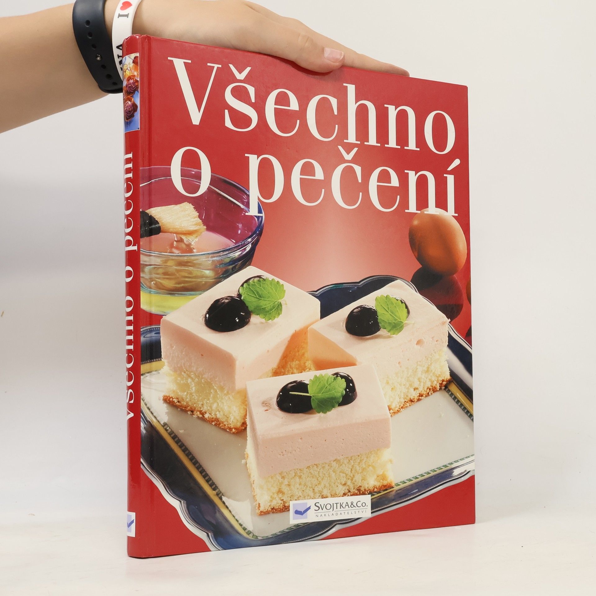 Kolektív autorov Všechno o pečení