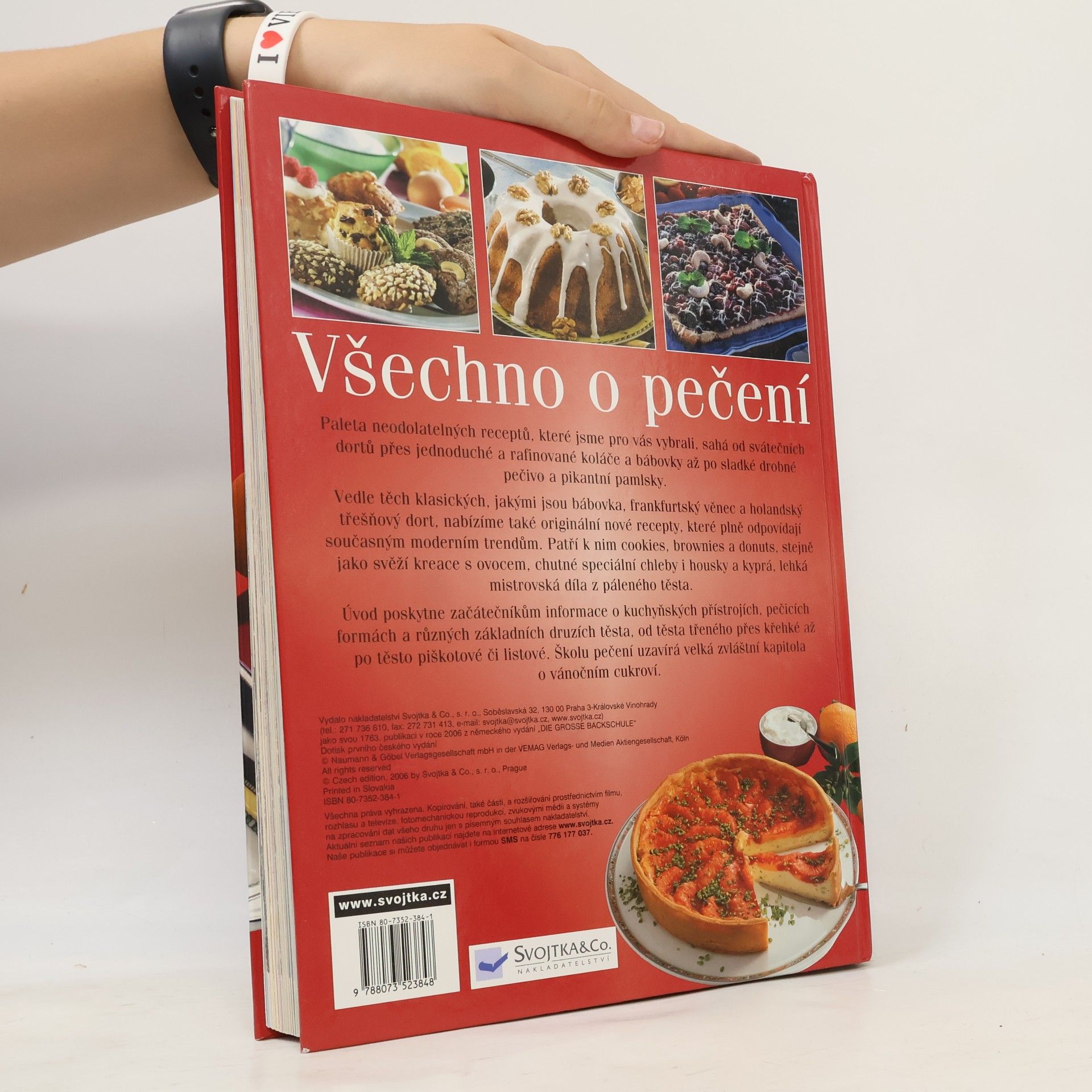 Collectif d'auteurs Všechno o pečení
