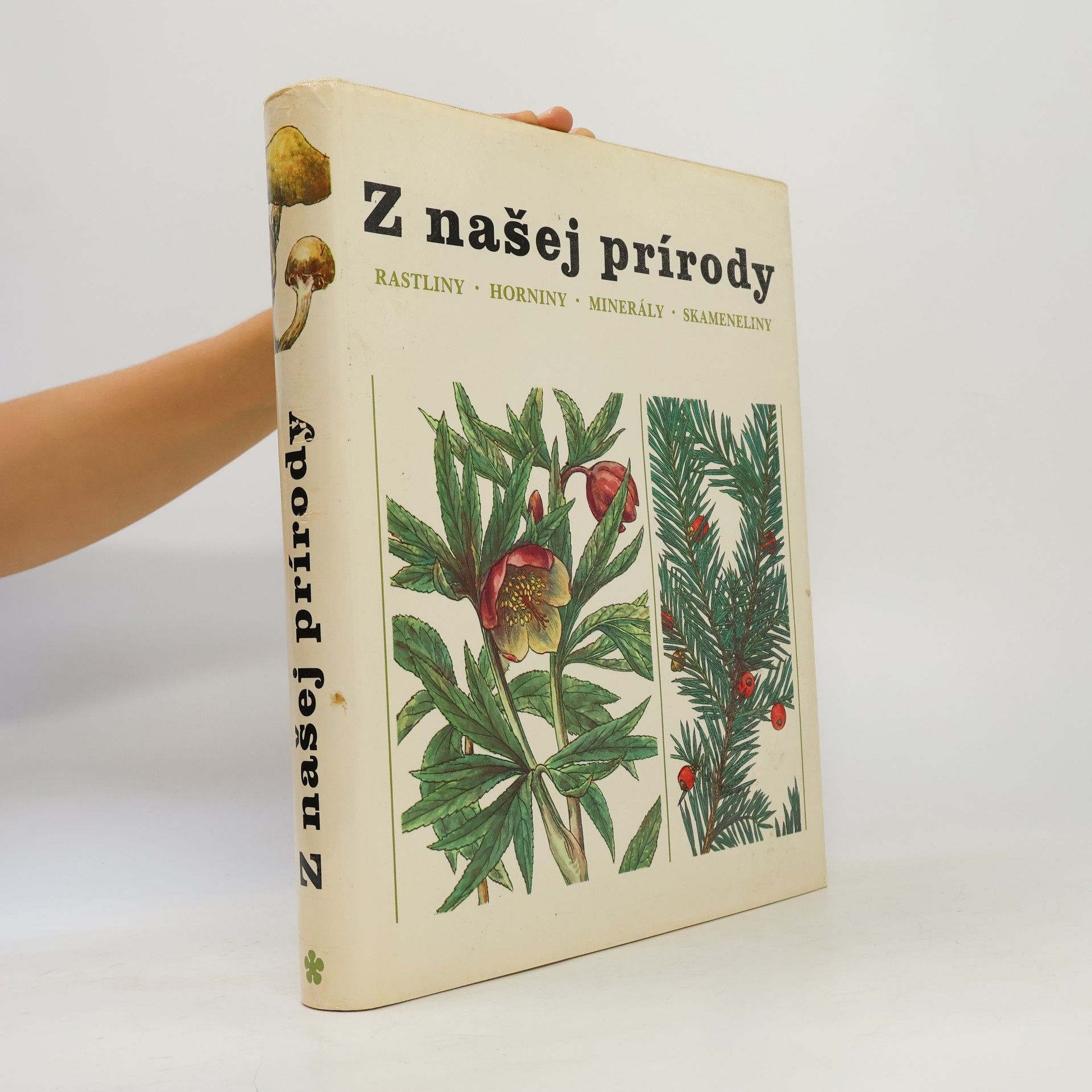 Z našej prírody