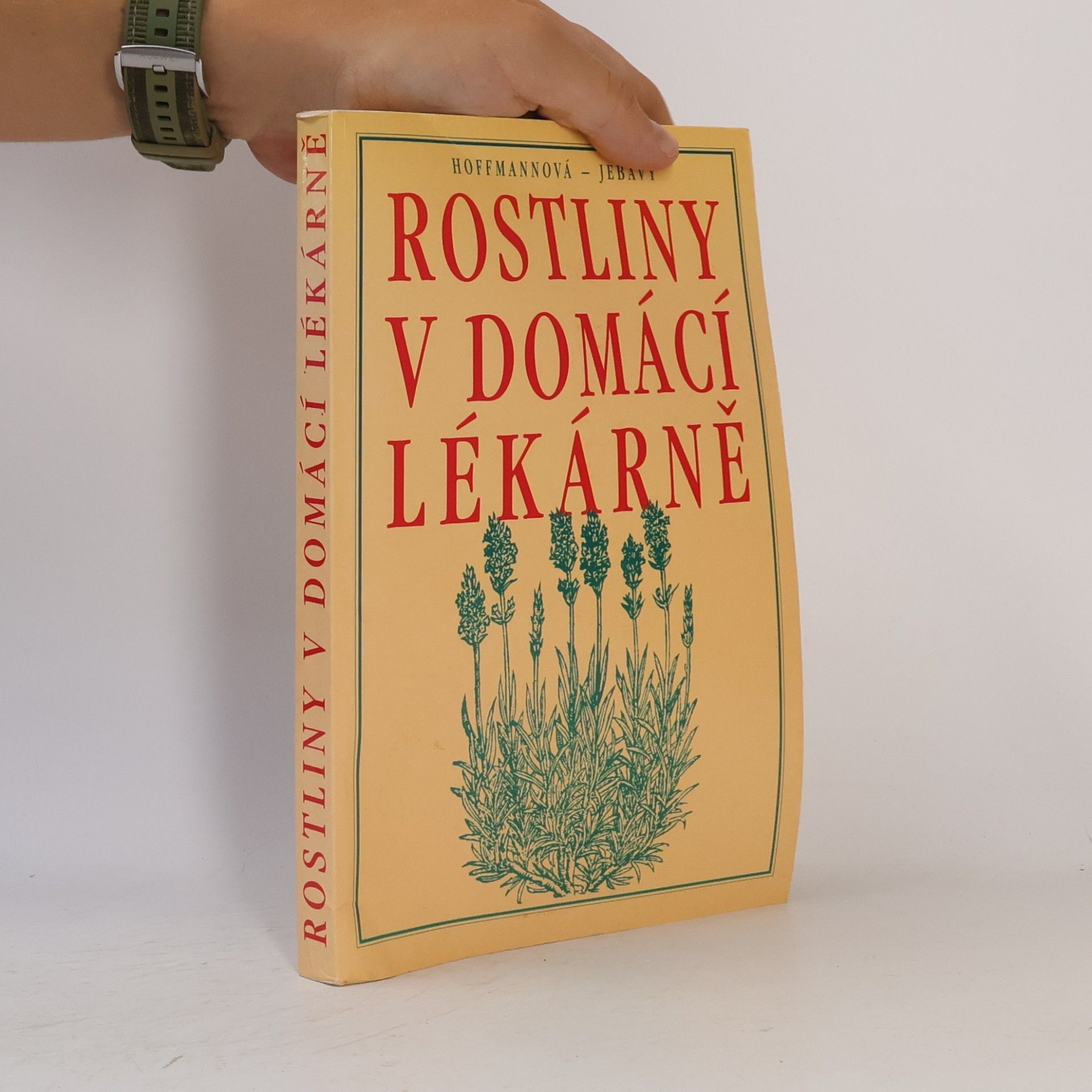 Hoffmannová Eva Rostliny v domácí lékárně