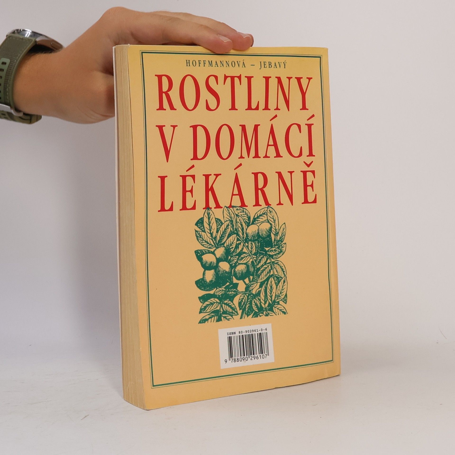 Eva H. Hoffmann Rostliny v domácí lékárně