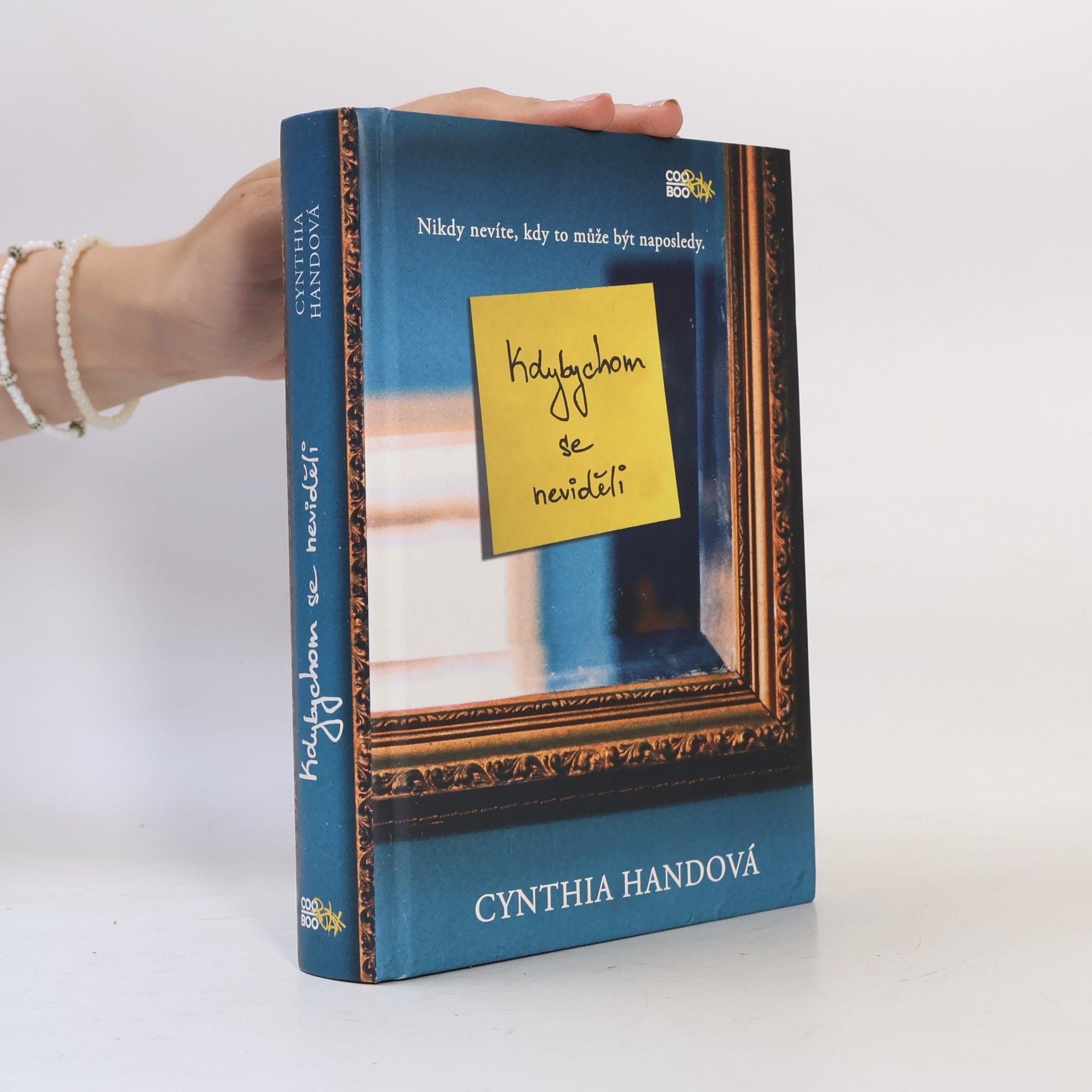 Cynthia Hand Kdybychom se neviděli