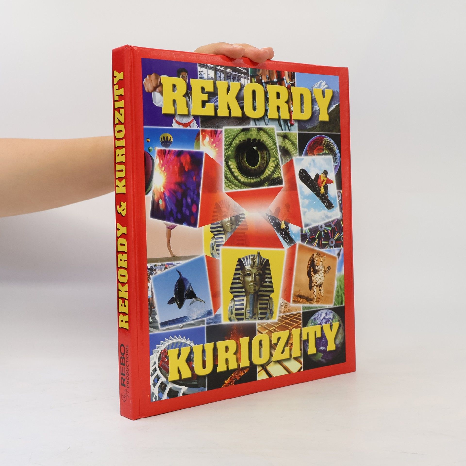 Ivana Rybecká Rekordy & kuriozity