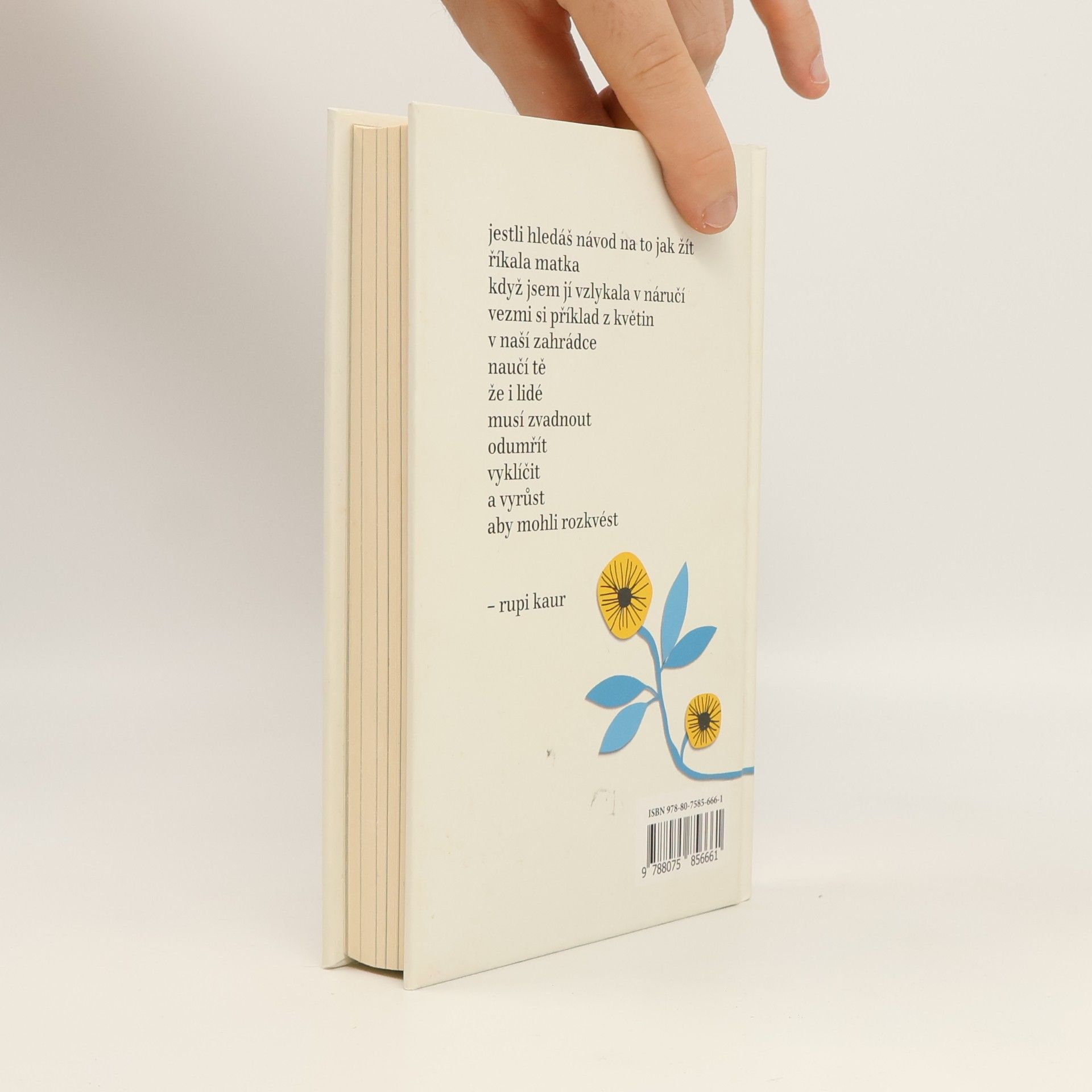 Rupi Kaur Květy slunce
