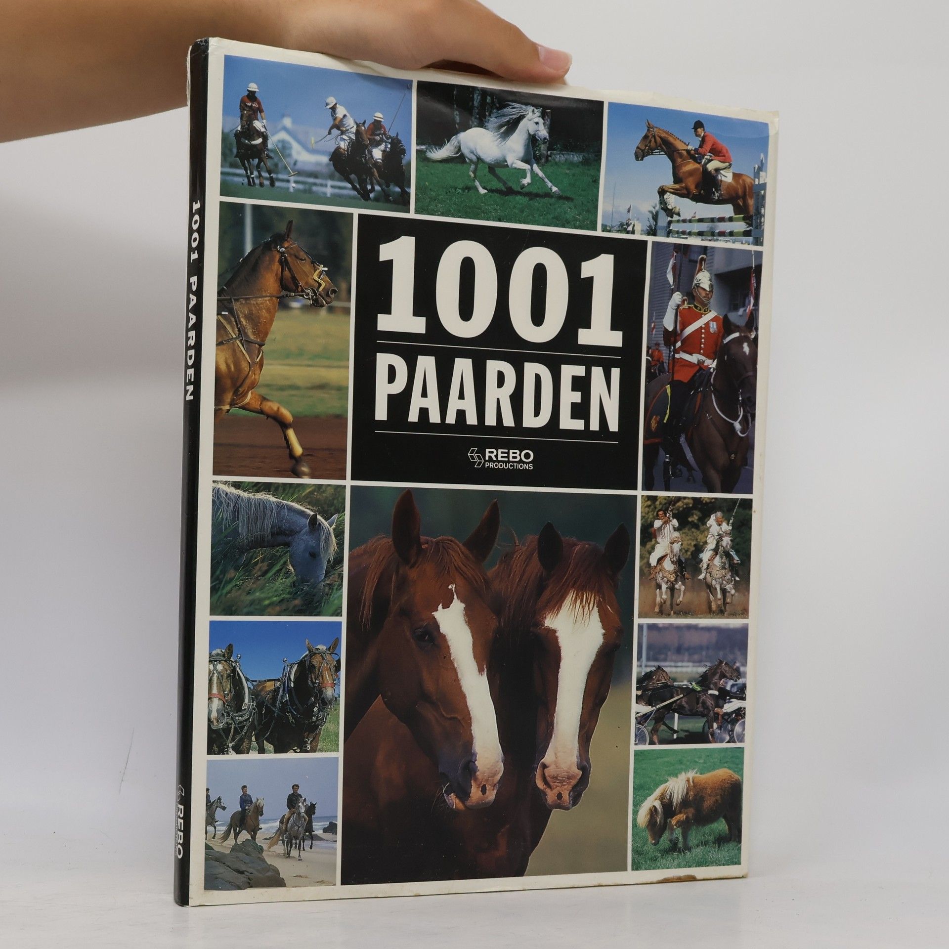 1001 paarden
