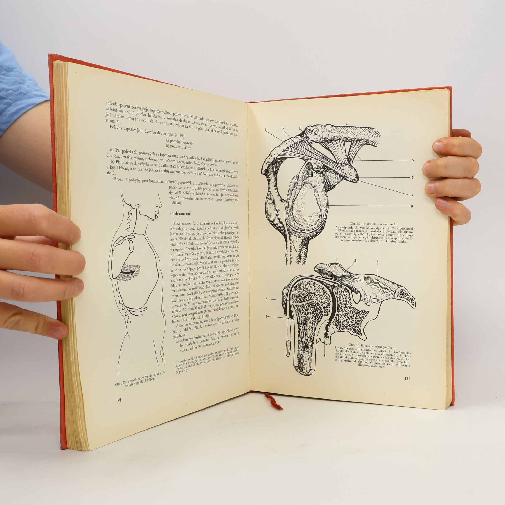 Rudolf Linc Anatomie člověka I