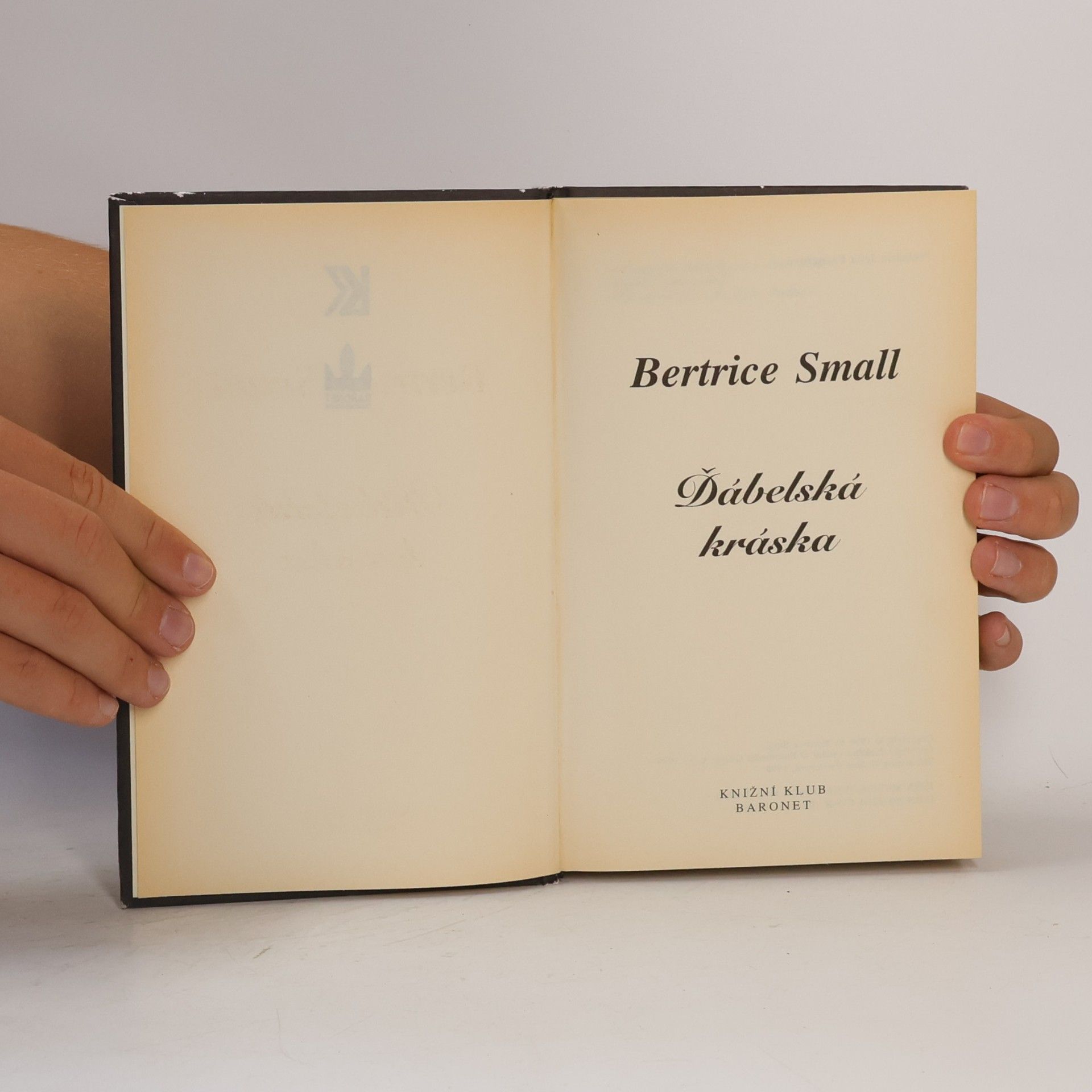 Bertrice Small Ďábelská kráska