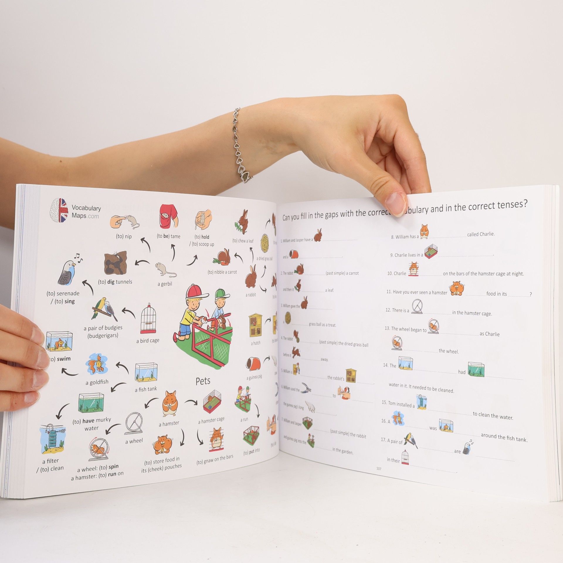 Tomáš Bednář Vocabulary Maps. 200 words Workbook