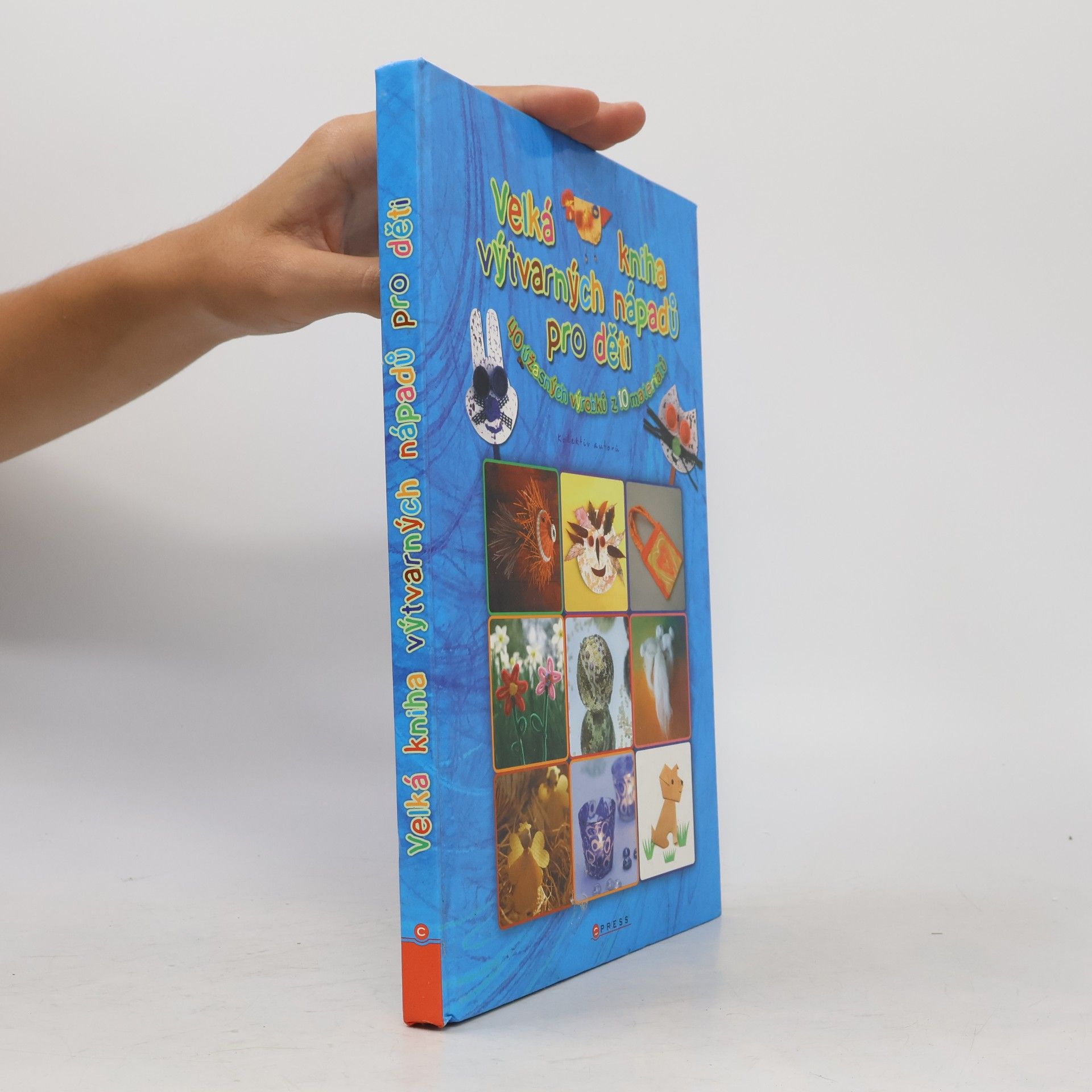 Various authors Velká Kniha výtvarných nápadů pro děti