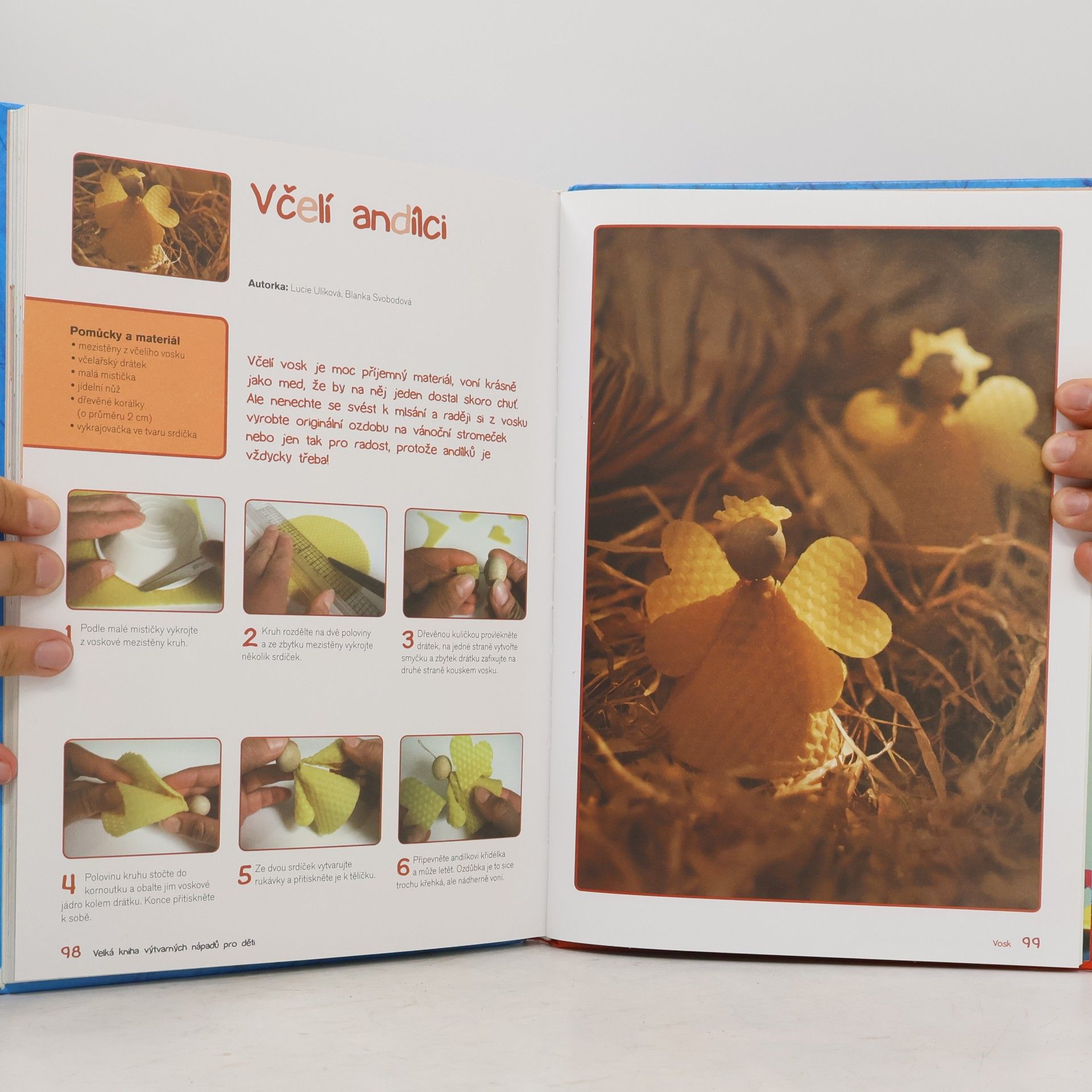 Various authors Velká Kniha výtvarných nápadů pro děti
