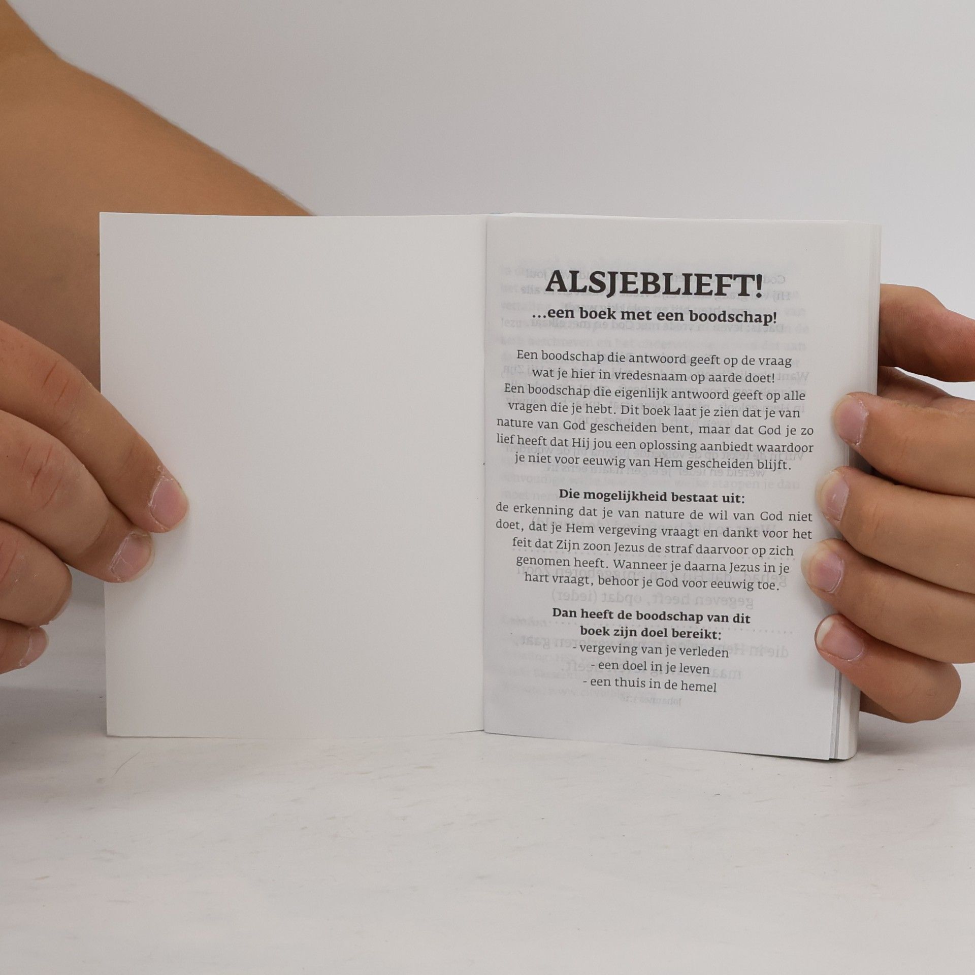 Kolektív autorov Het Nieuwe Testament Nederlands