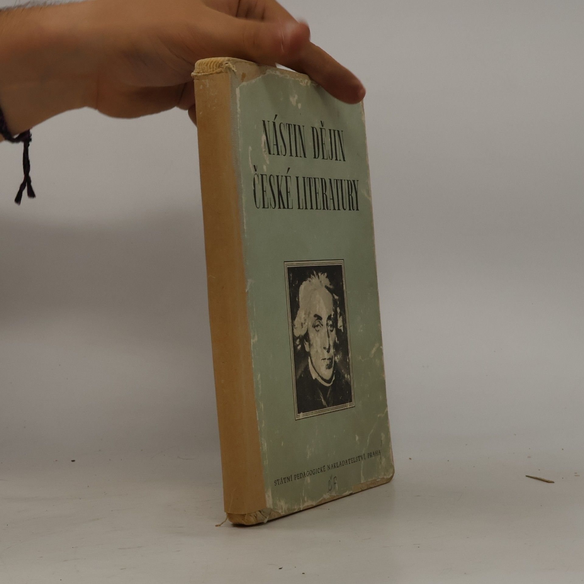 Nástin dějin české literatury