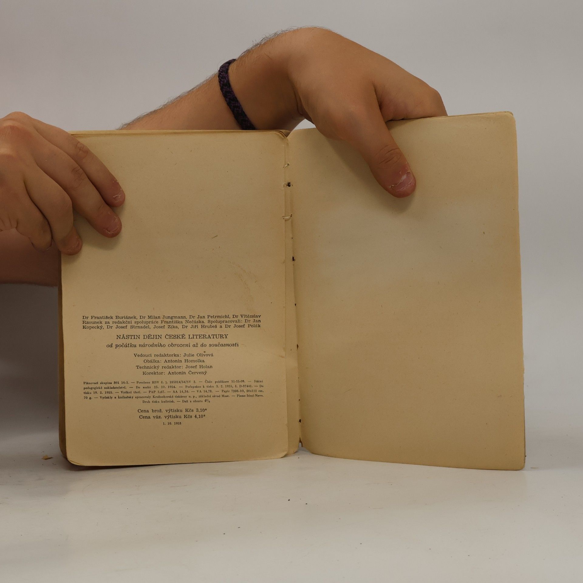 František Buriánek Nástin dějin české literatury