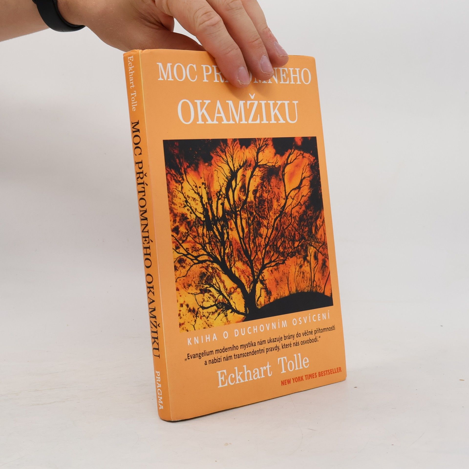 Eckhart Tolle Moc přítomného okamžiku