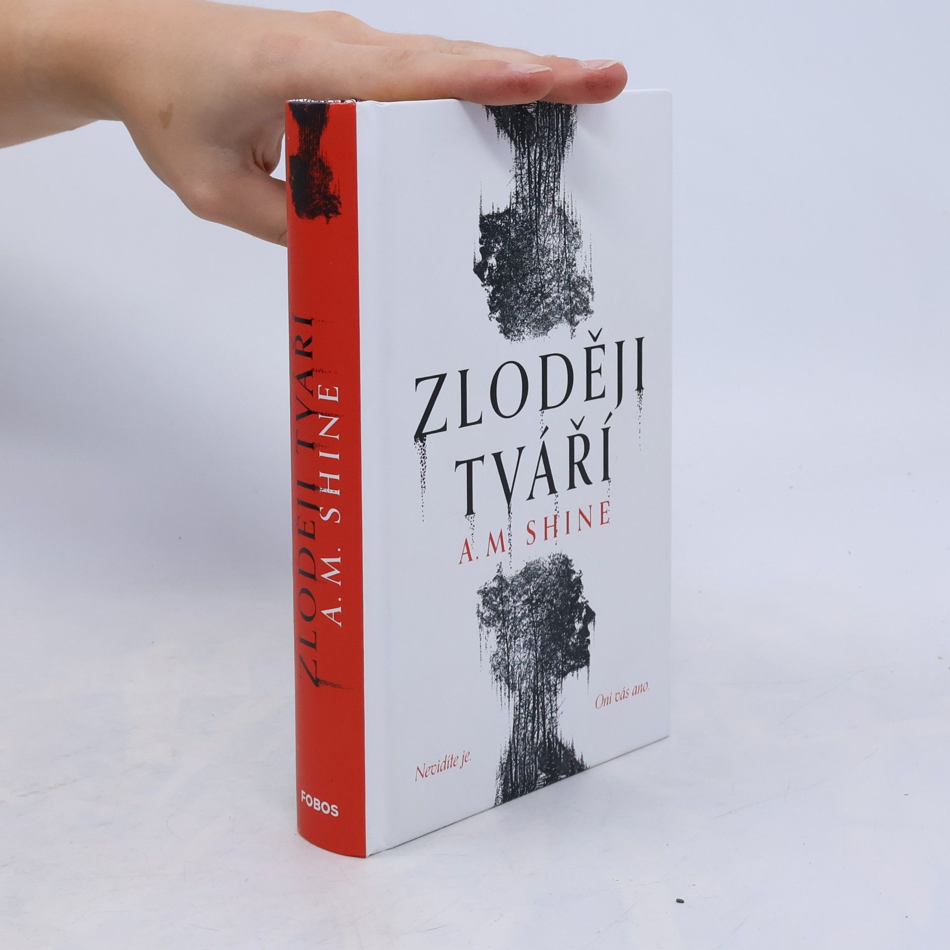 Kateřina Harrison Lipenská Zloději tváří