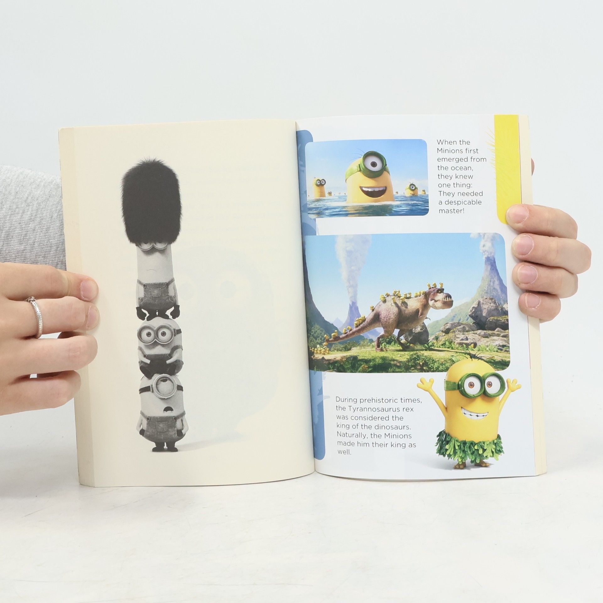 Sadie Chesterfield Minions The Junior Novel