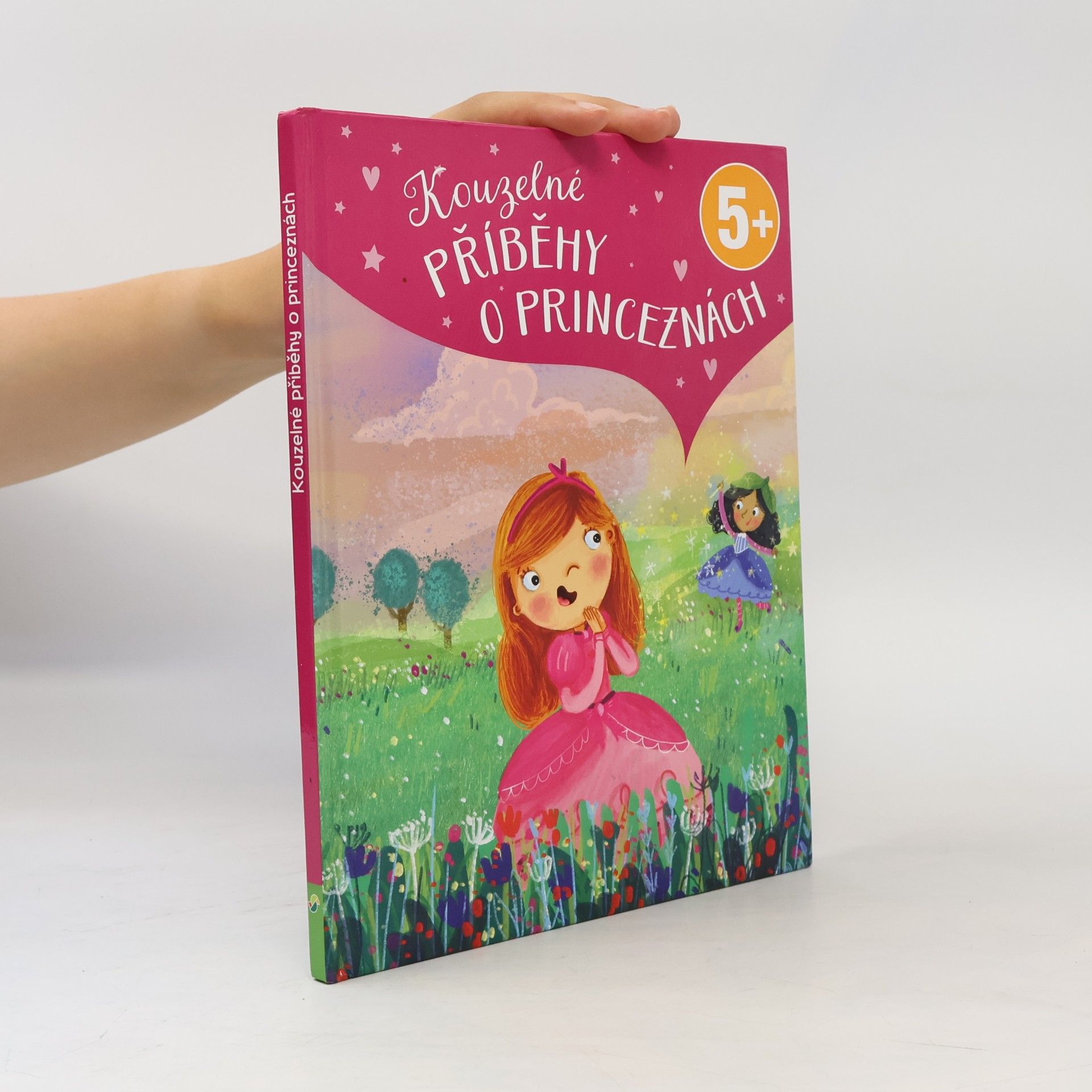 Luise Holthausen Kouzelné příběhy o princeznách