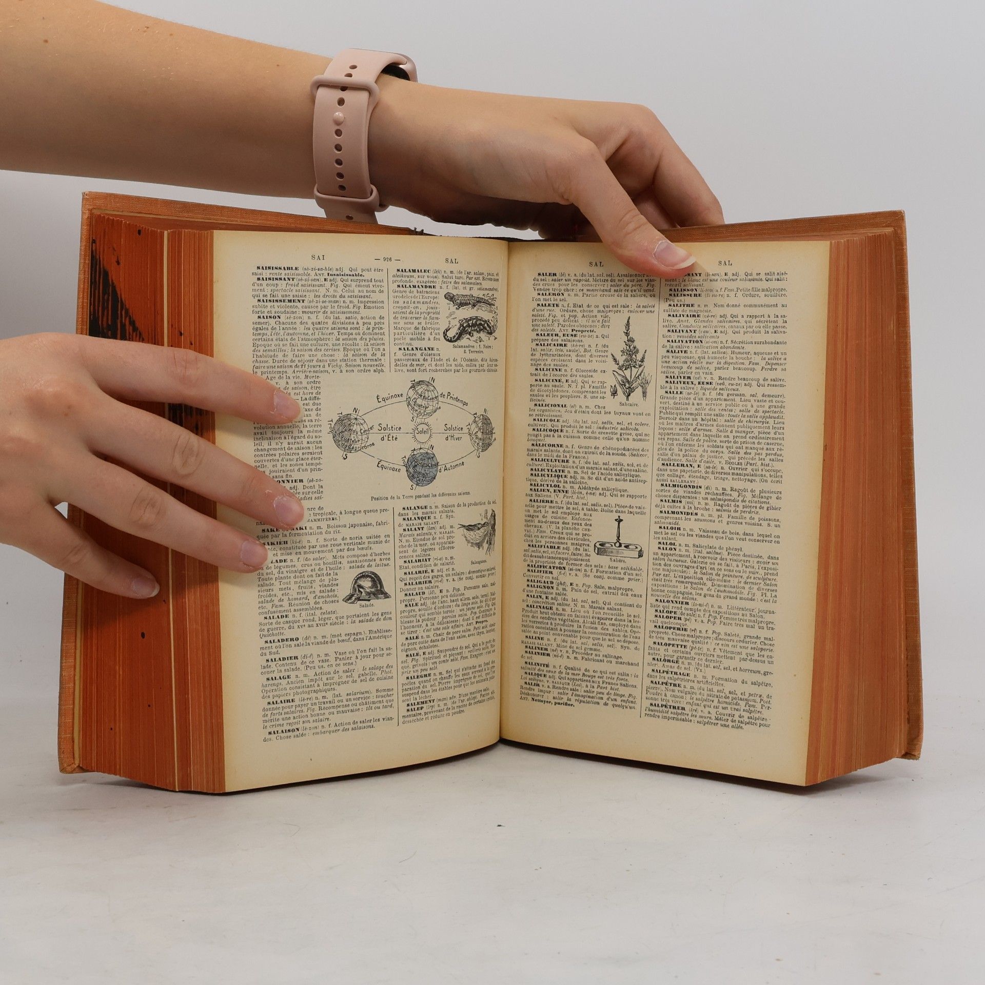 Autorenkollektiv Nouveau petit Larousse illustré