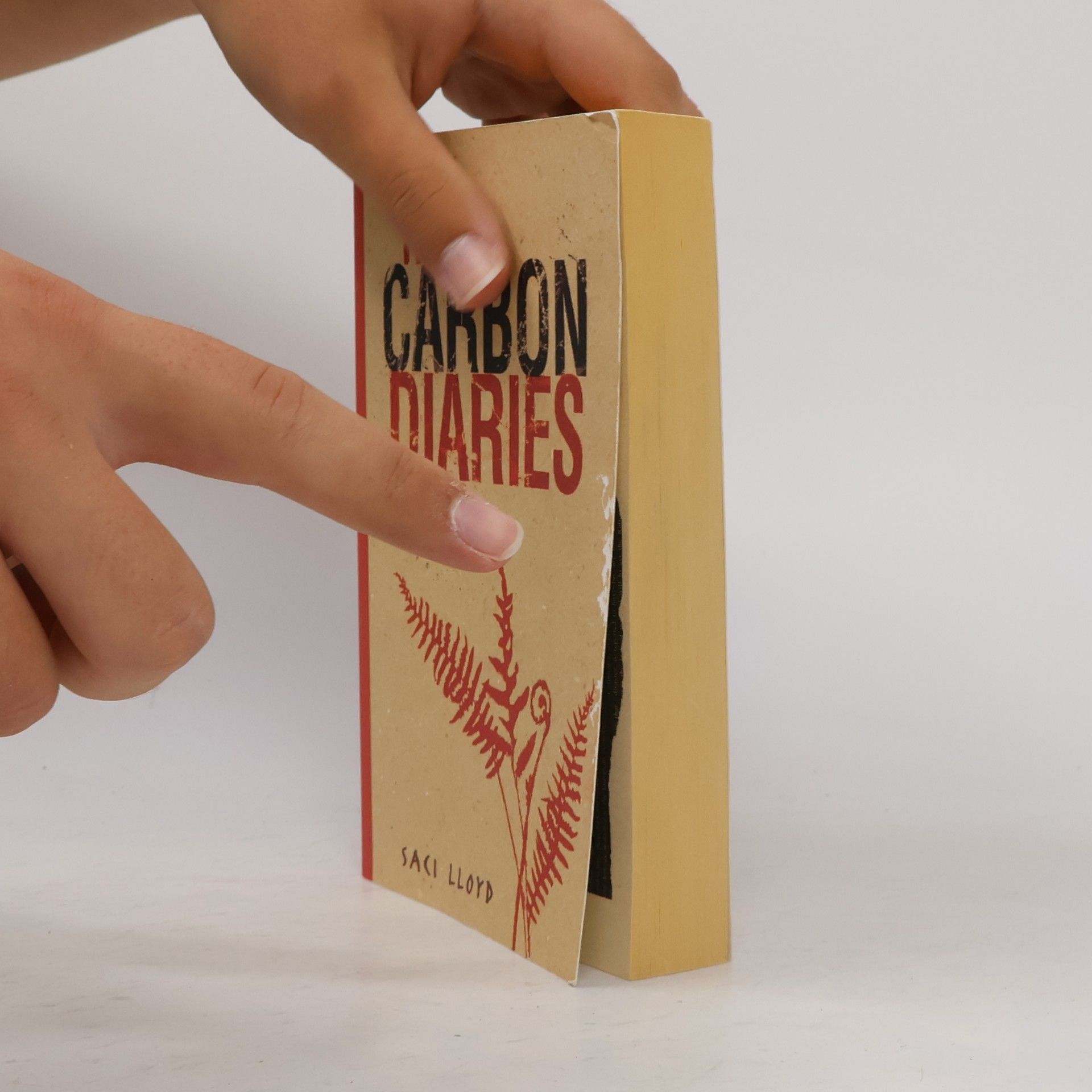 Saci Lloyd The Carbon Diaries 2015