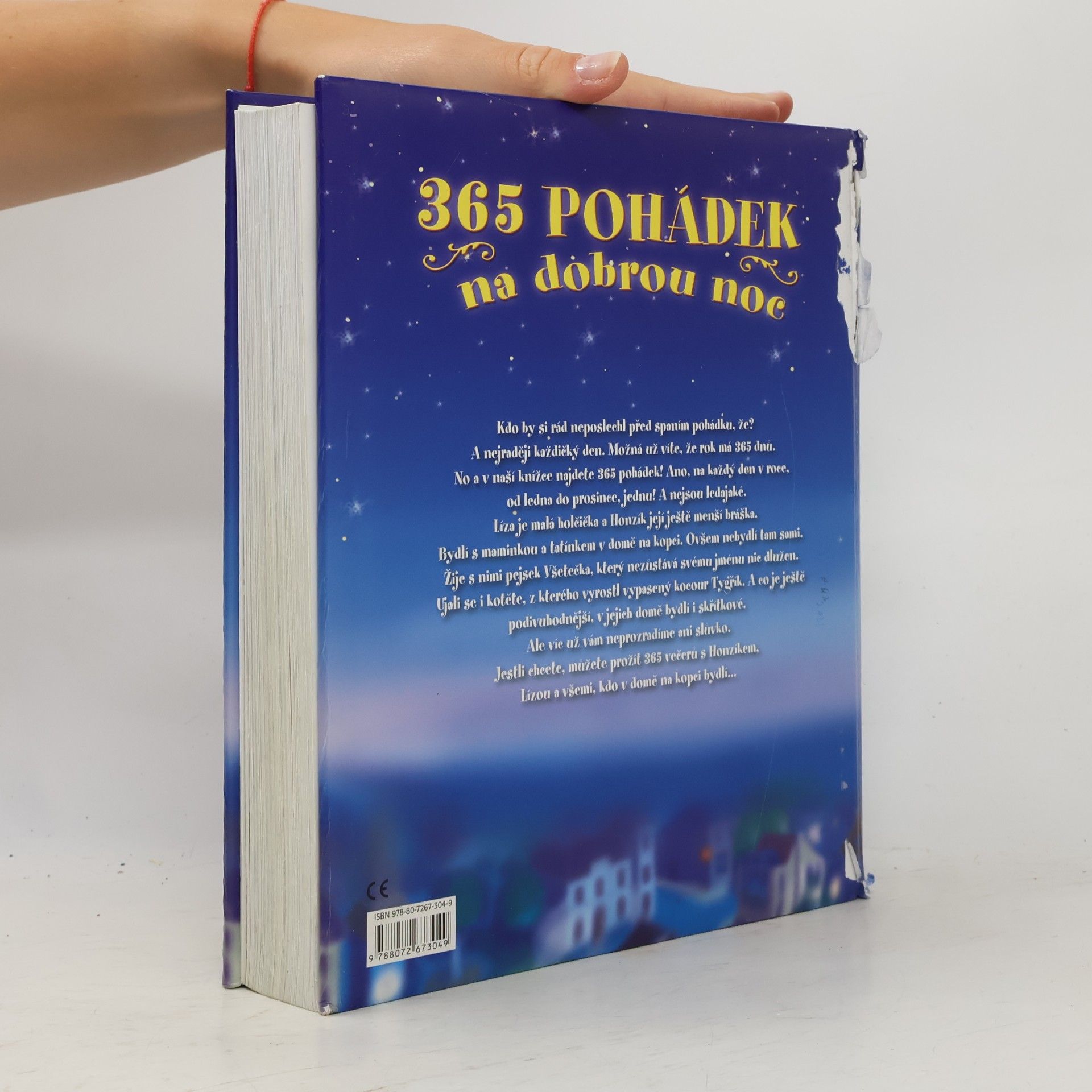 Autorenkollektiv 365 pohádek na dobrou noc