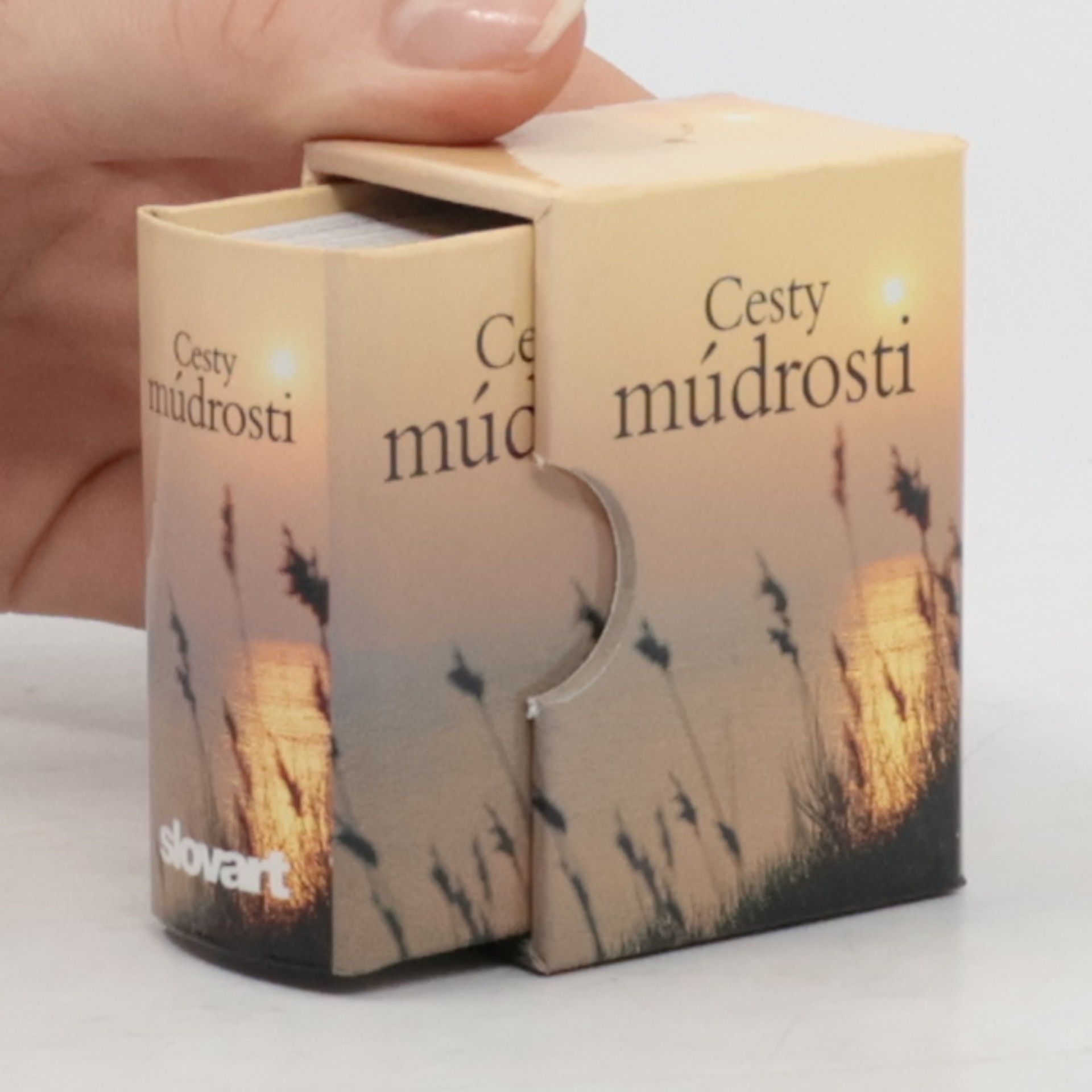 AA.VV. Cesty múdrosti