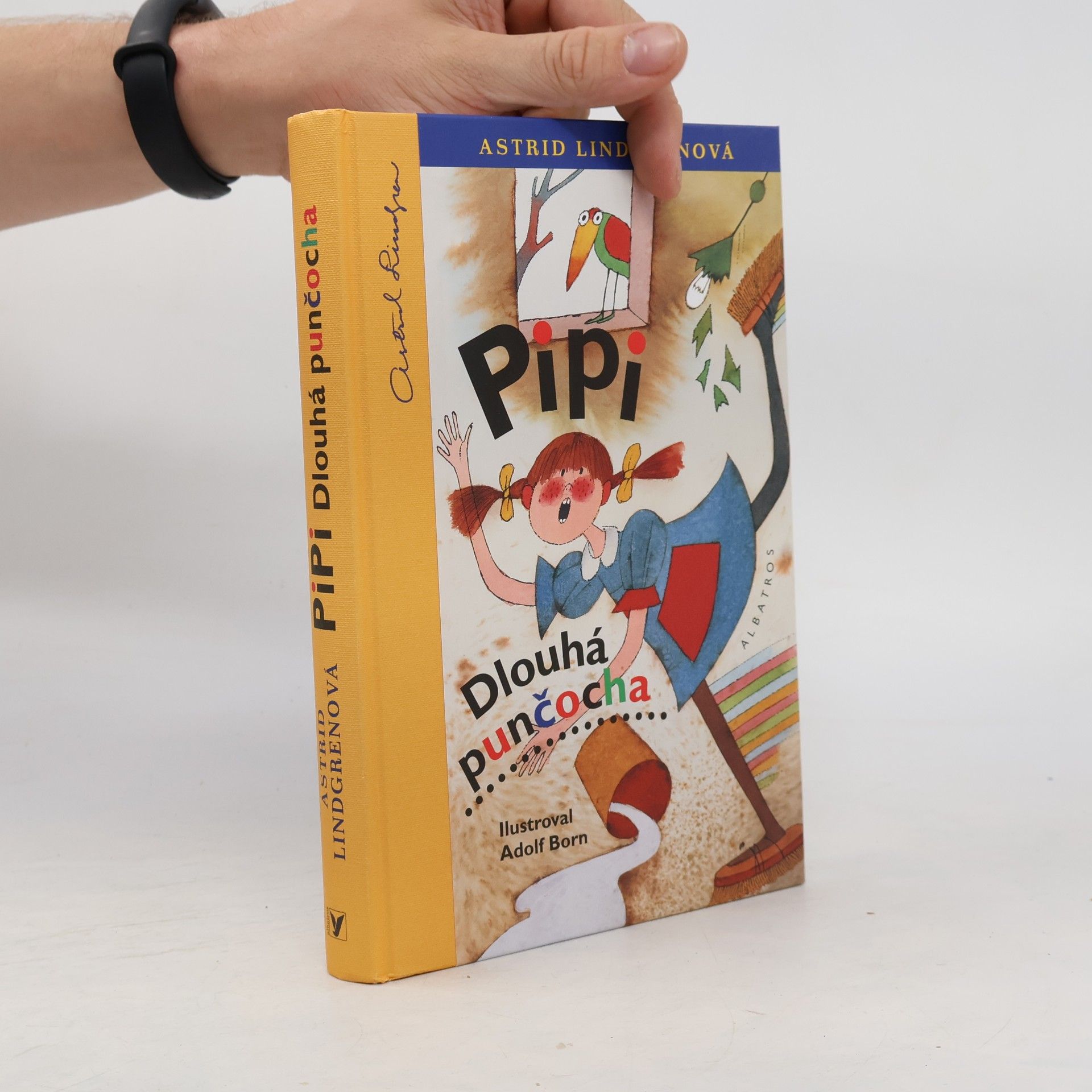 Astrid Lindgren Pipi Dlouhá punčocha