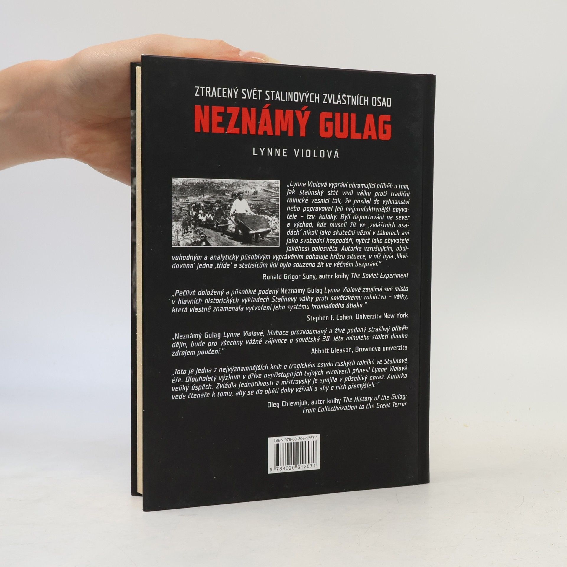 Lynne Viola Neznámý gulag