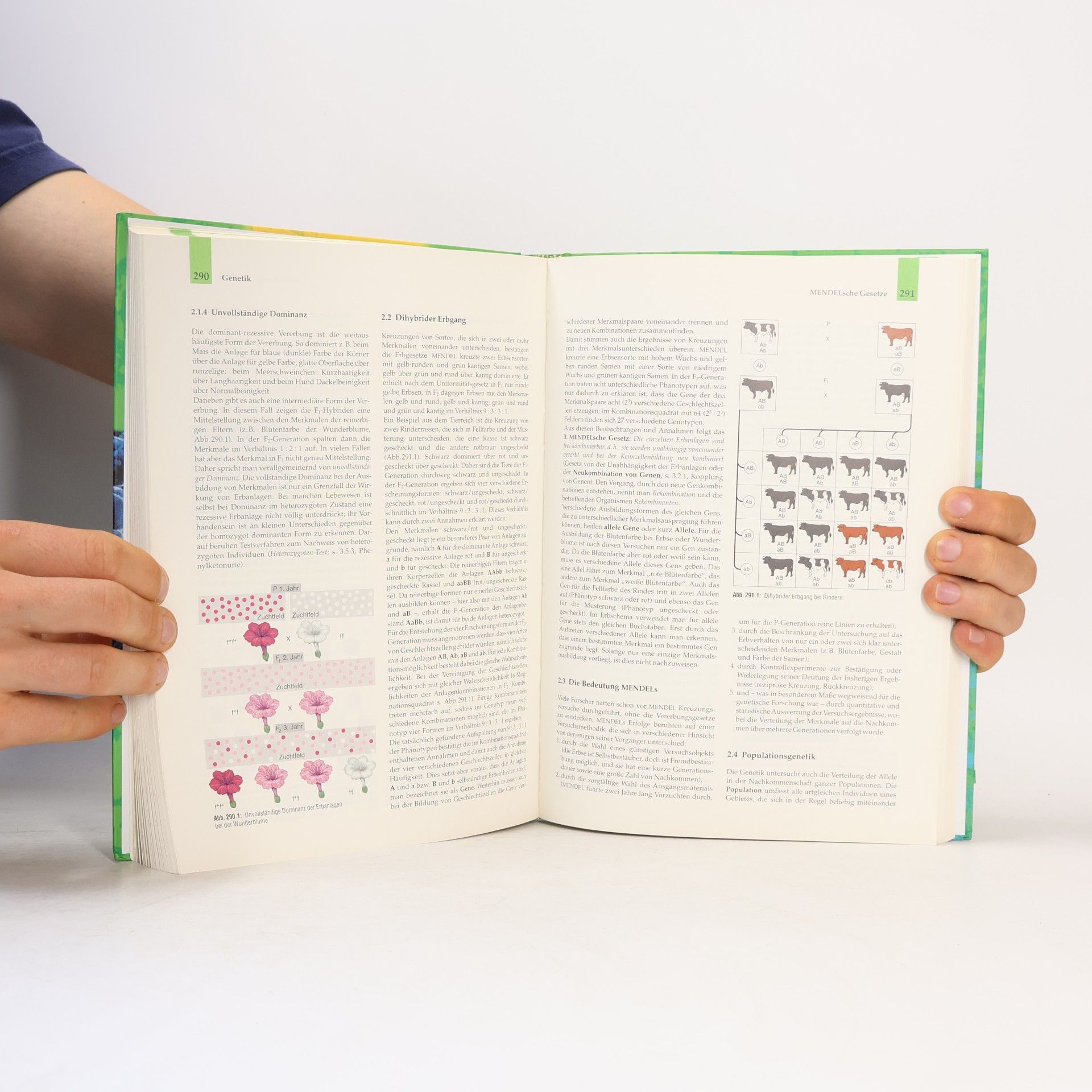 Biologie - Lehrbuch für die Oberstufe