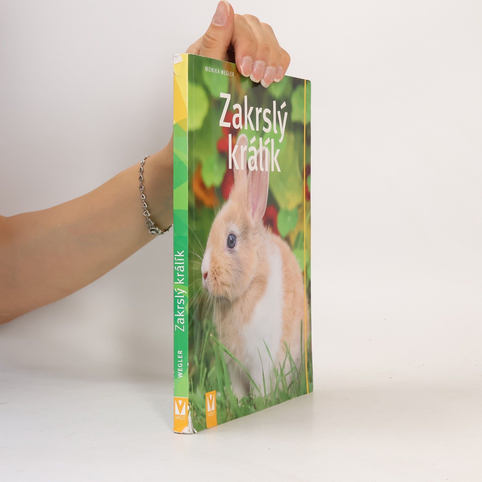 Monika Wegler Zakrslý králík
