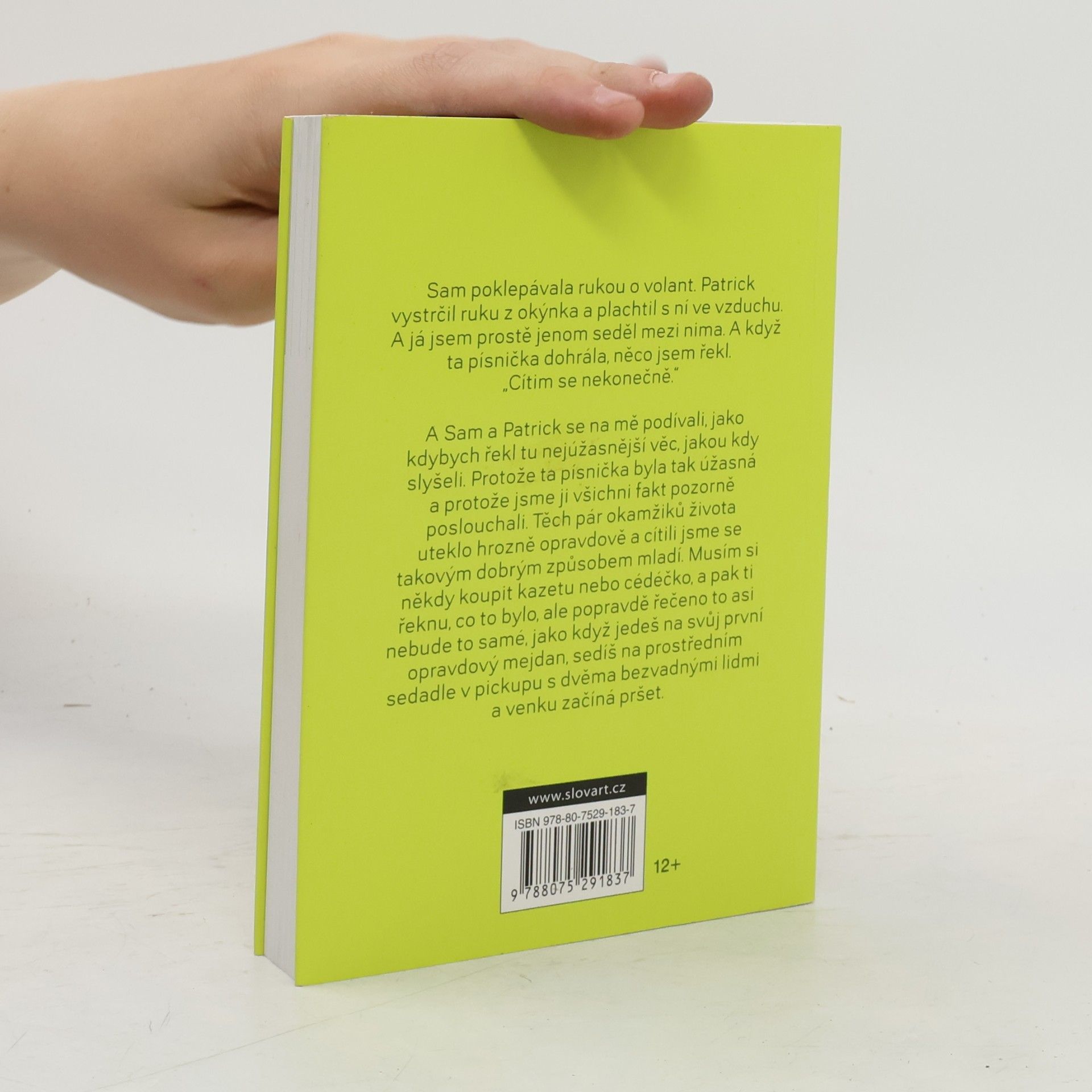Stephen Chbosky Ten, kdo stojí v koutě