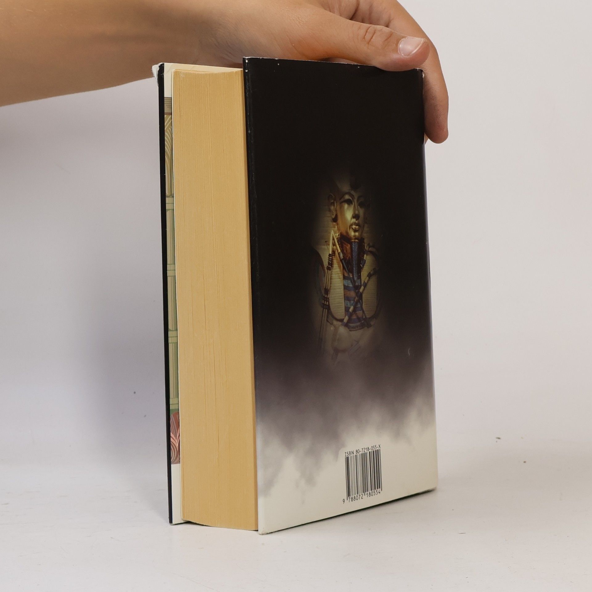 Wilbur Smith Řeka bohů II