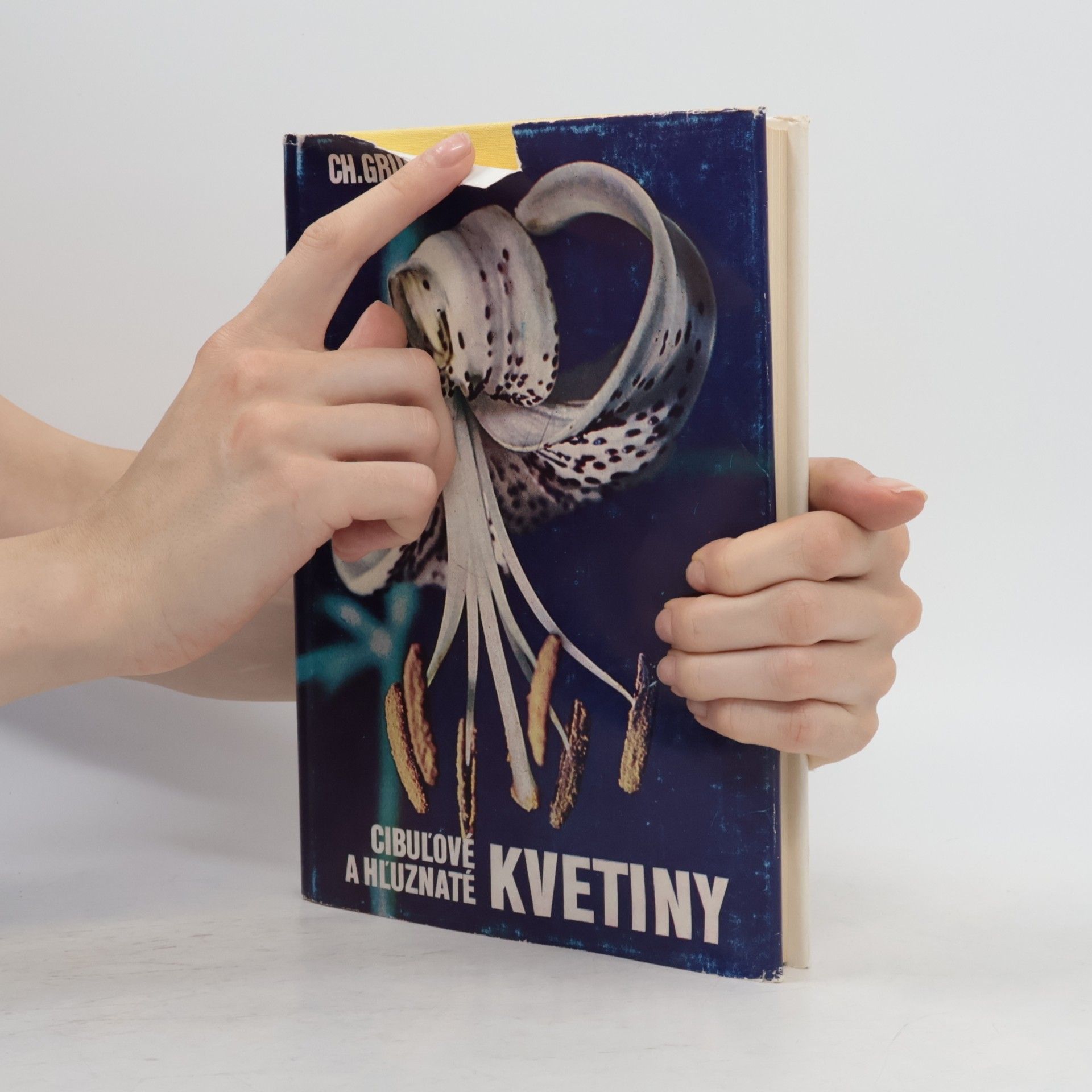 Christian Grunert Cibuľové a hľuznaté kvetiny