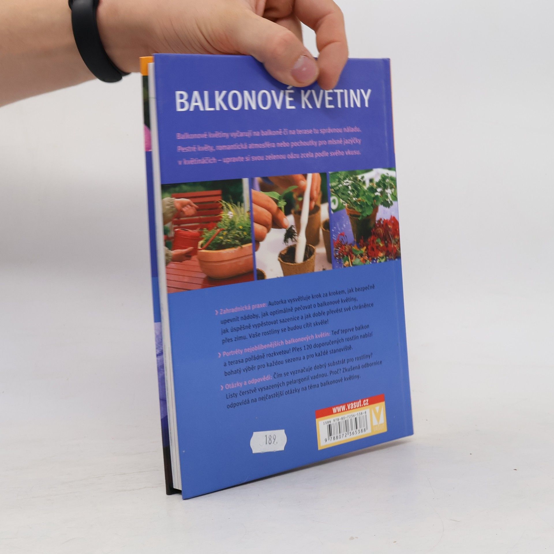 Friedrich Strauß Balkonové květiny