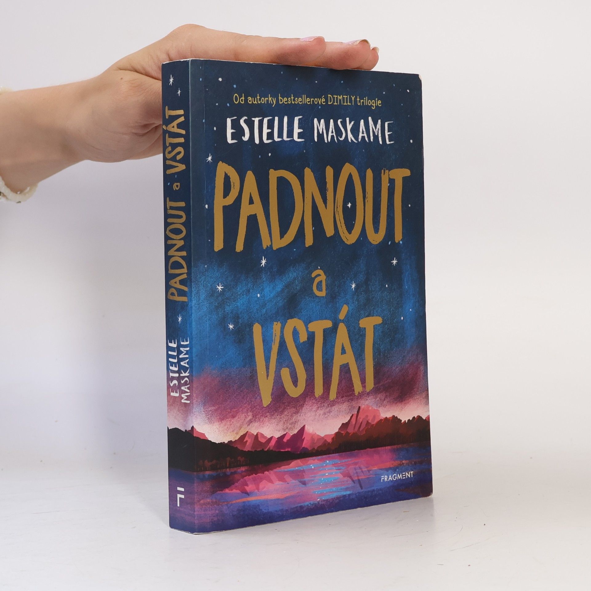 Estelle Maskame Padnout a vstát