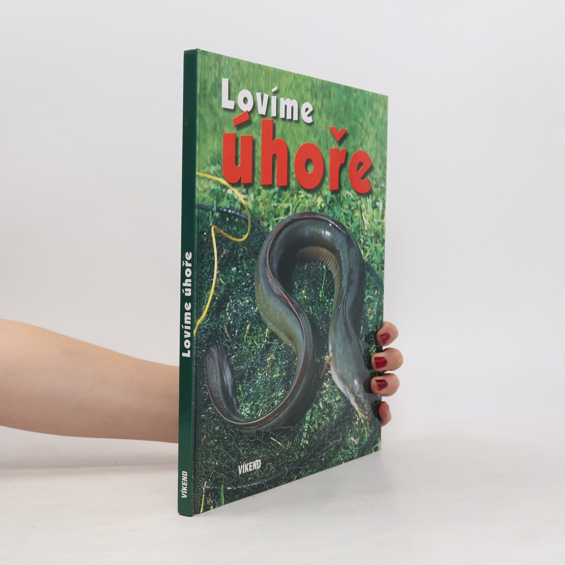 Kolektiv autorů Lovíme úhoře