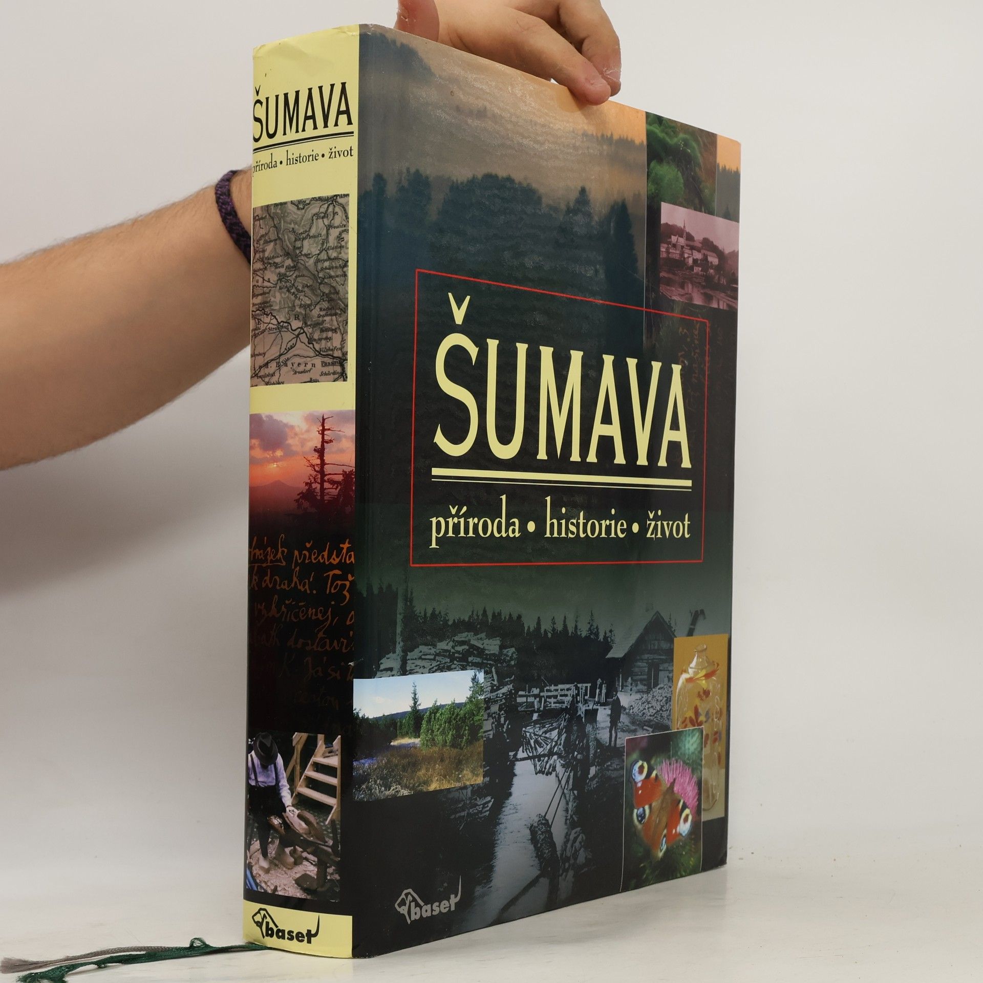Kolektiv autorů Šumava. Příroda, historie, život