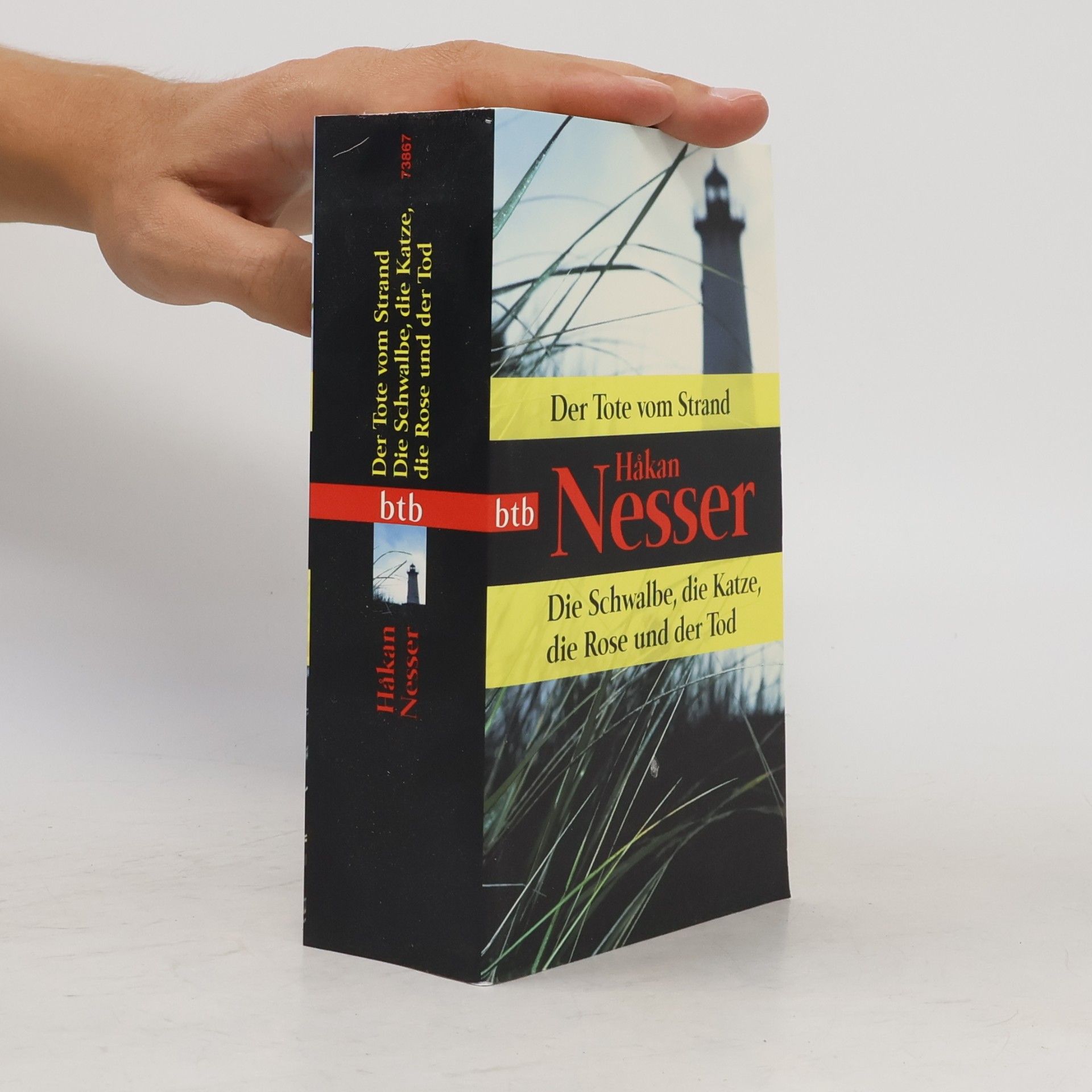 Håkan Nesser Der Tote vom Strand