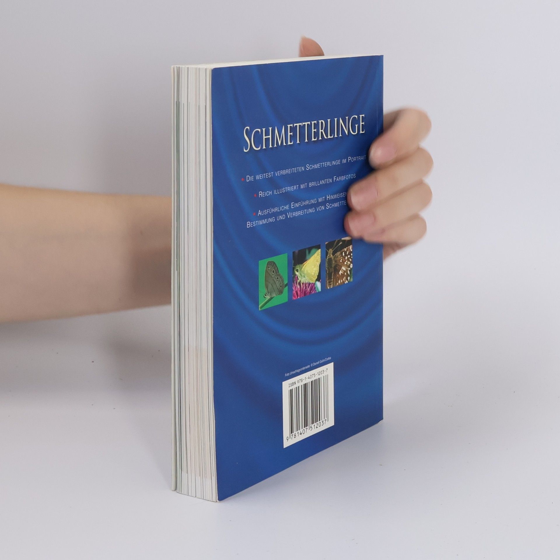 Elizabeth Balmer Schmetterlinge
