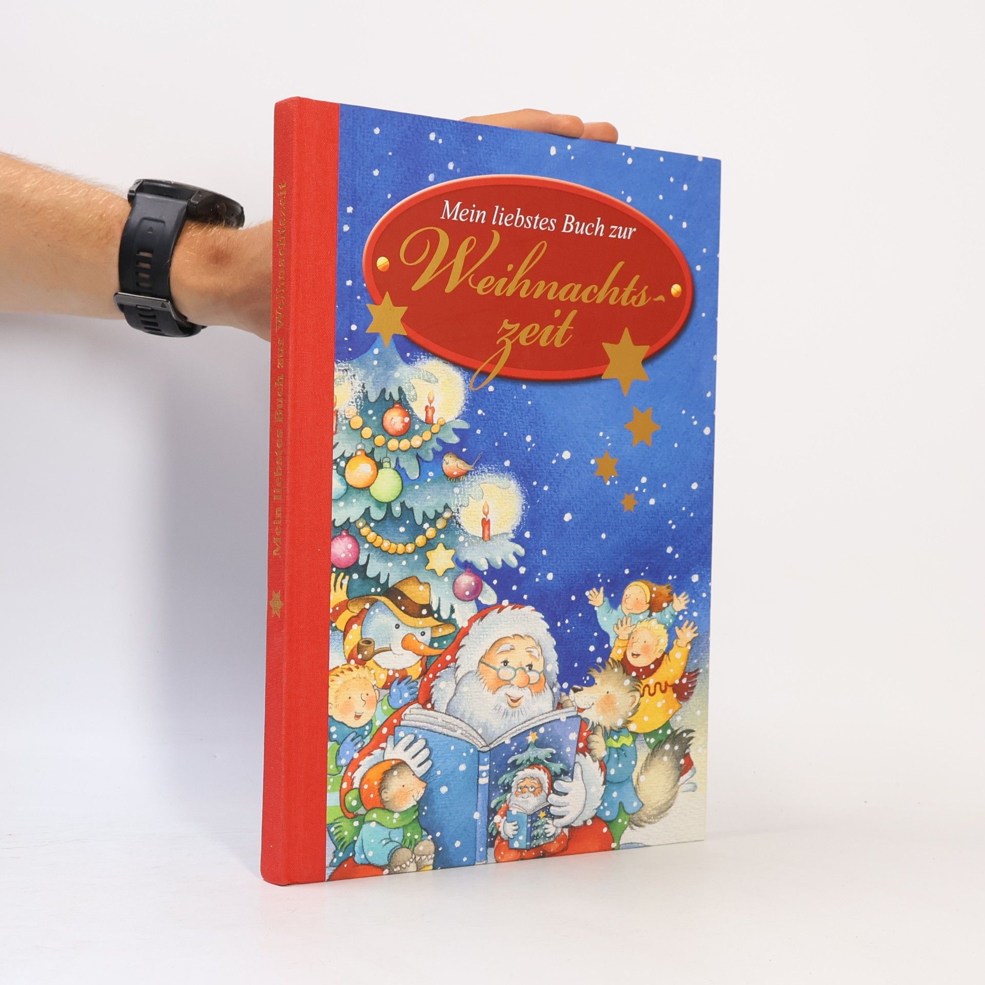 Anne-Marrie Frisque Mein liebstes Buch zur Weihnachtszeit