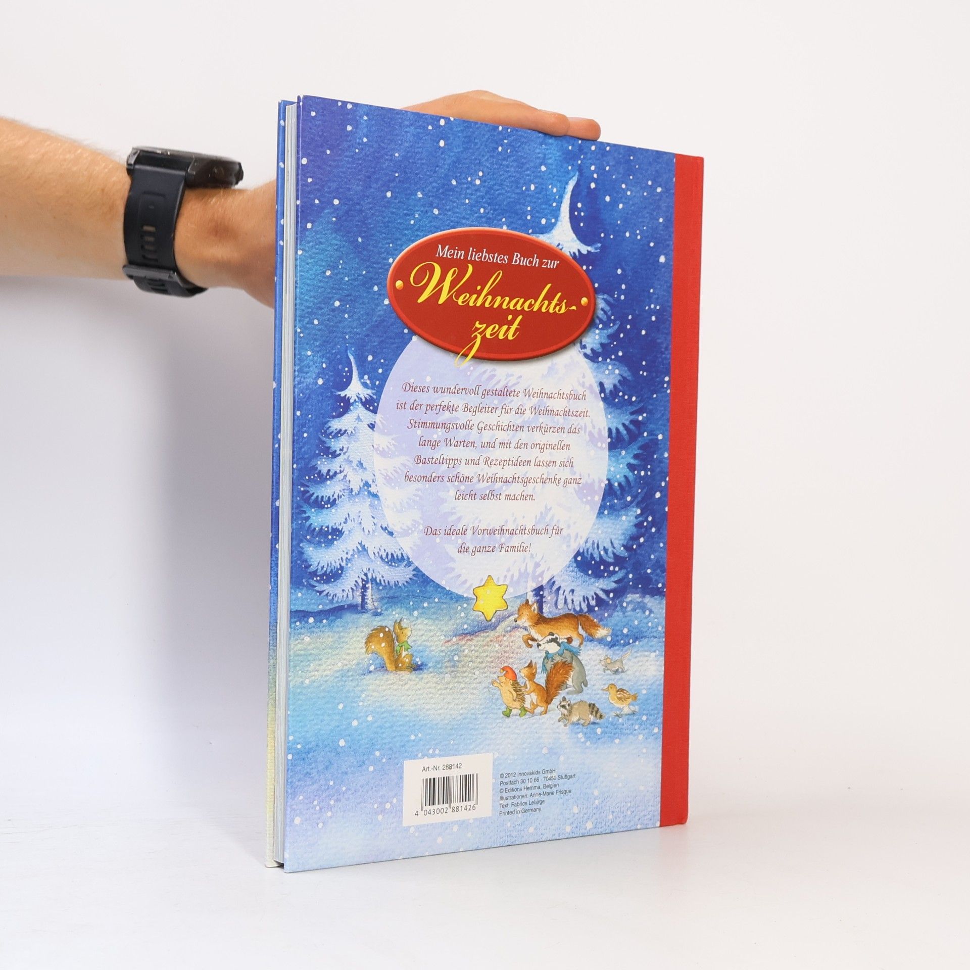Anne-Marrie Frisque Mein liebstes Buch zur Weihnachtszeit