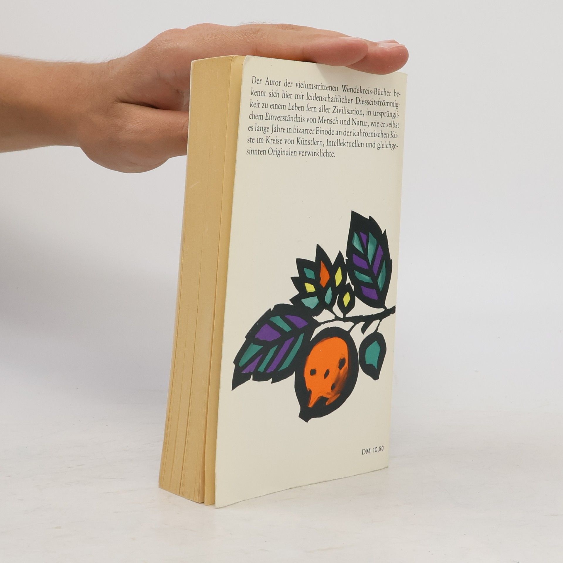 Henry Miller Big Sur und die Orangen des Hieronymus Bosch