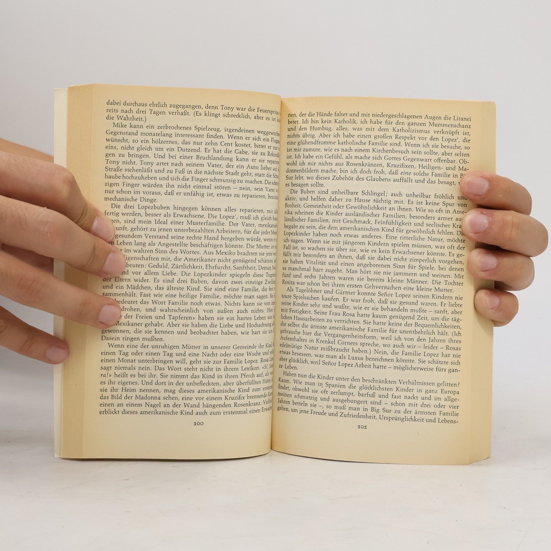 Henry Miller Big Sur und die Orangen des Hieronymus Bosch