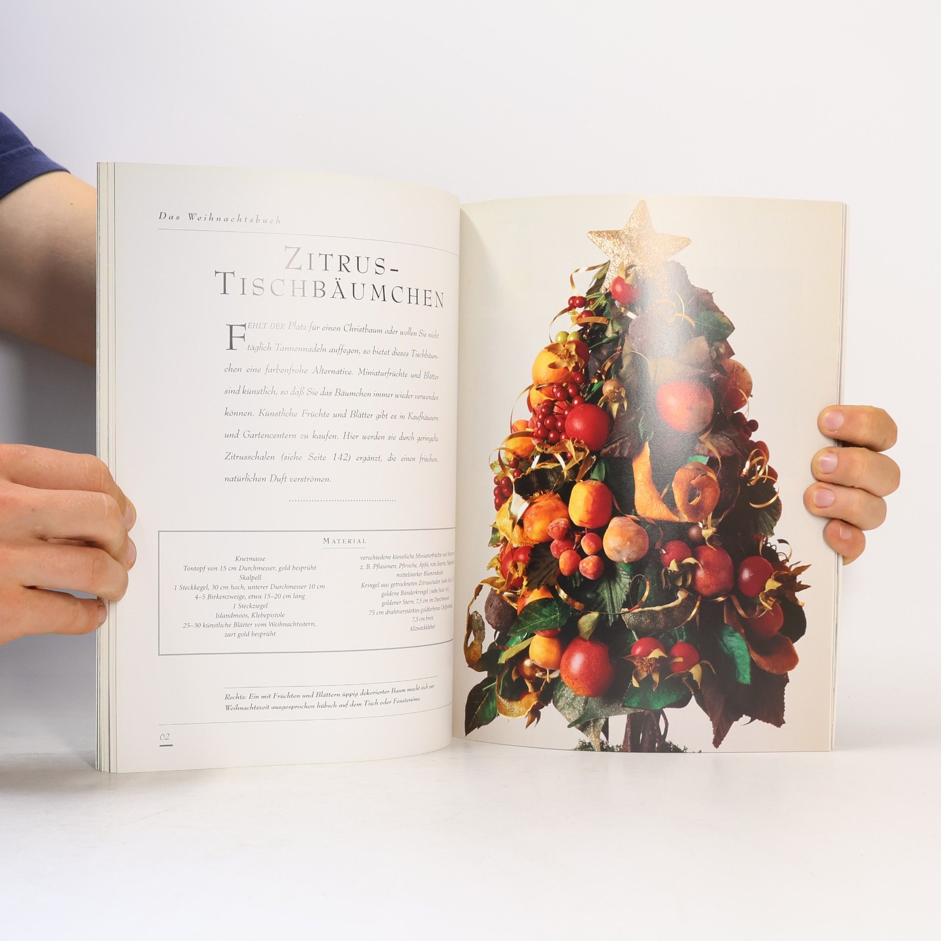 Sharon Amos Das Weihnachtsbuch