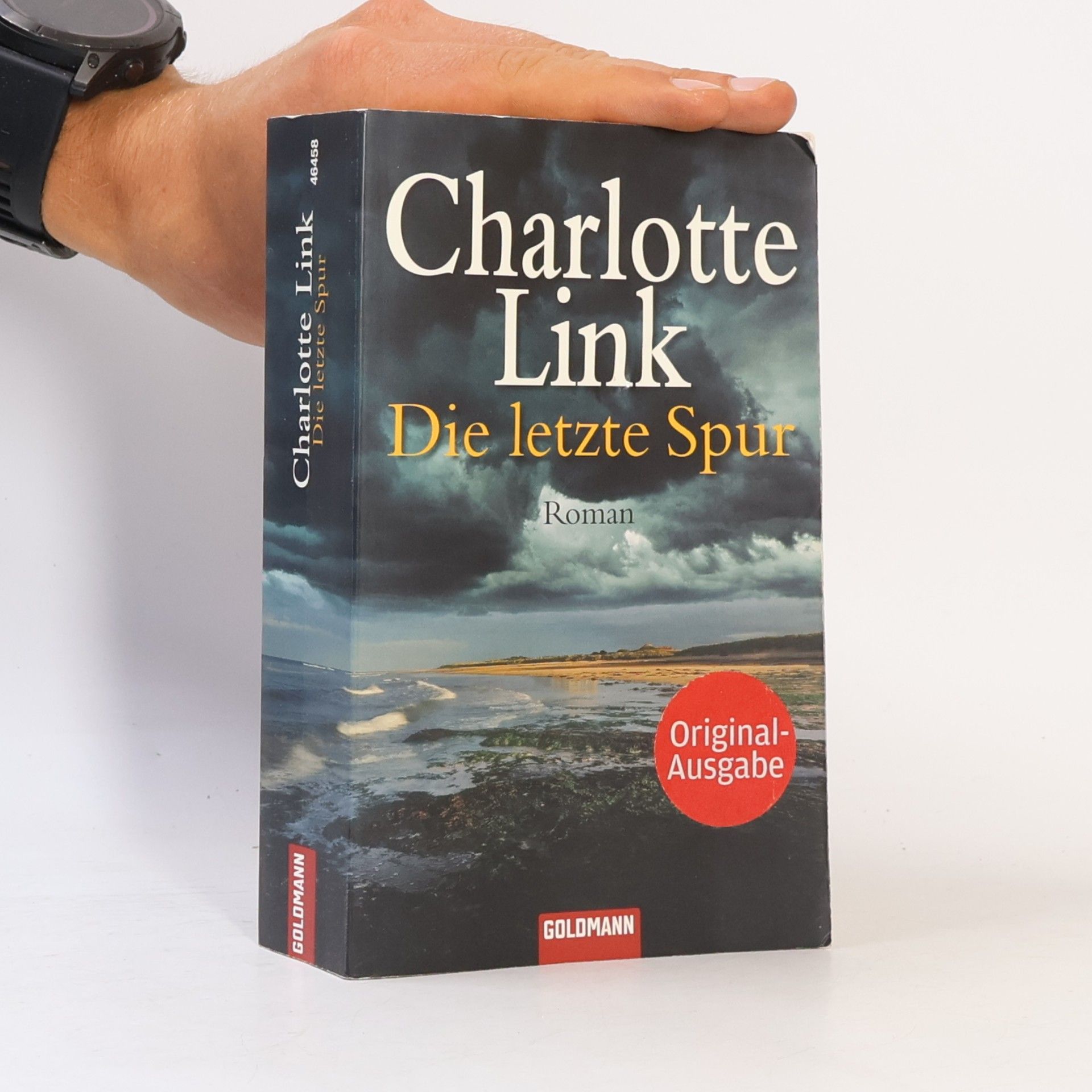 Charlotte Link Die letzte Spur