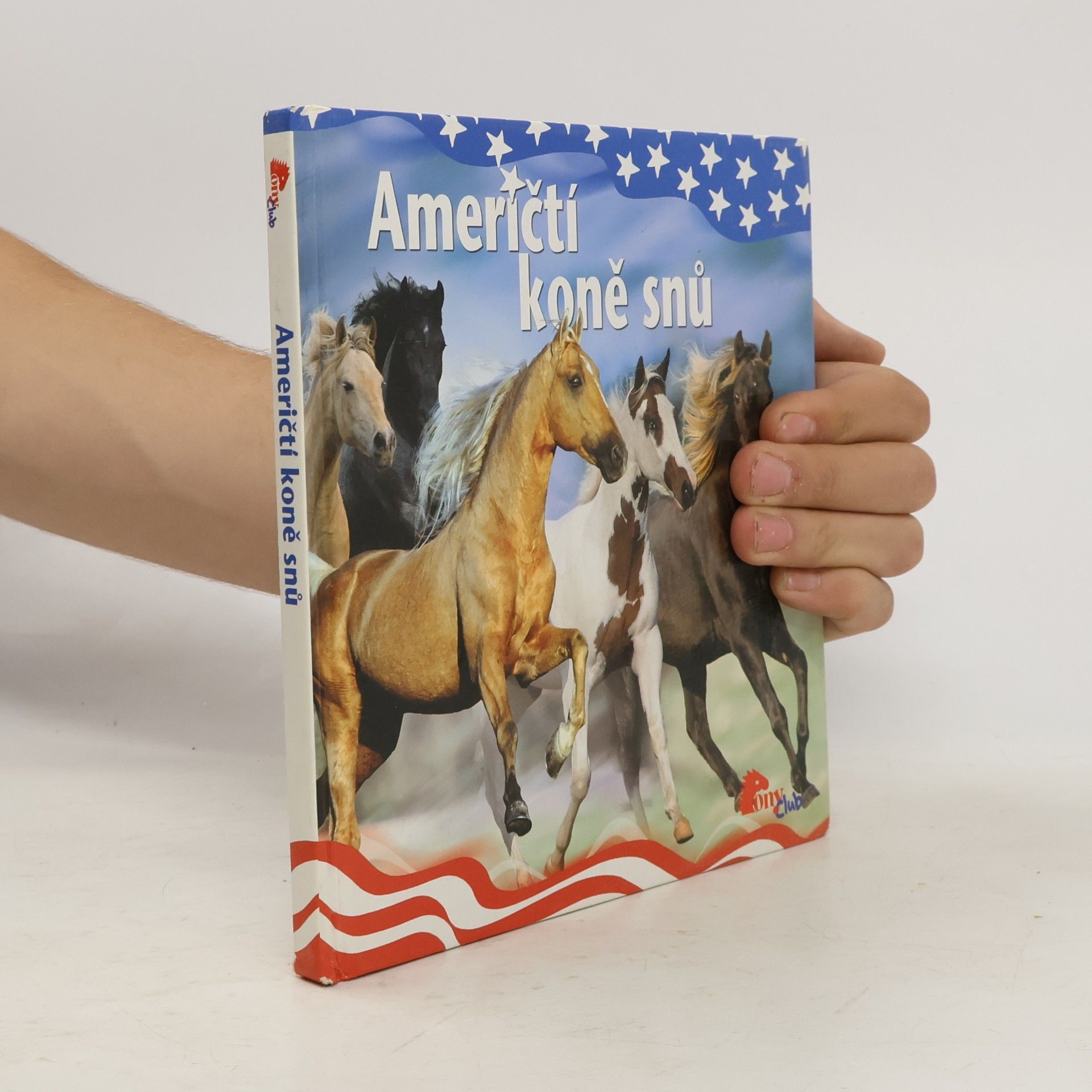 Autores varios Američtí koně snů