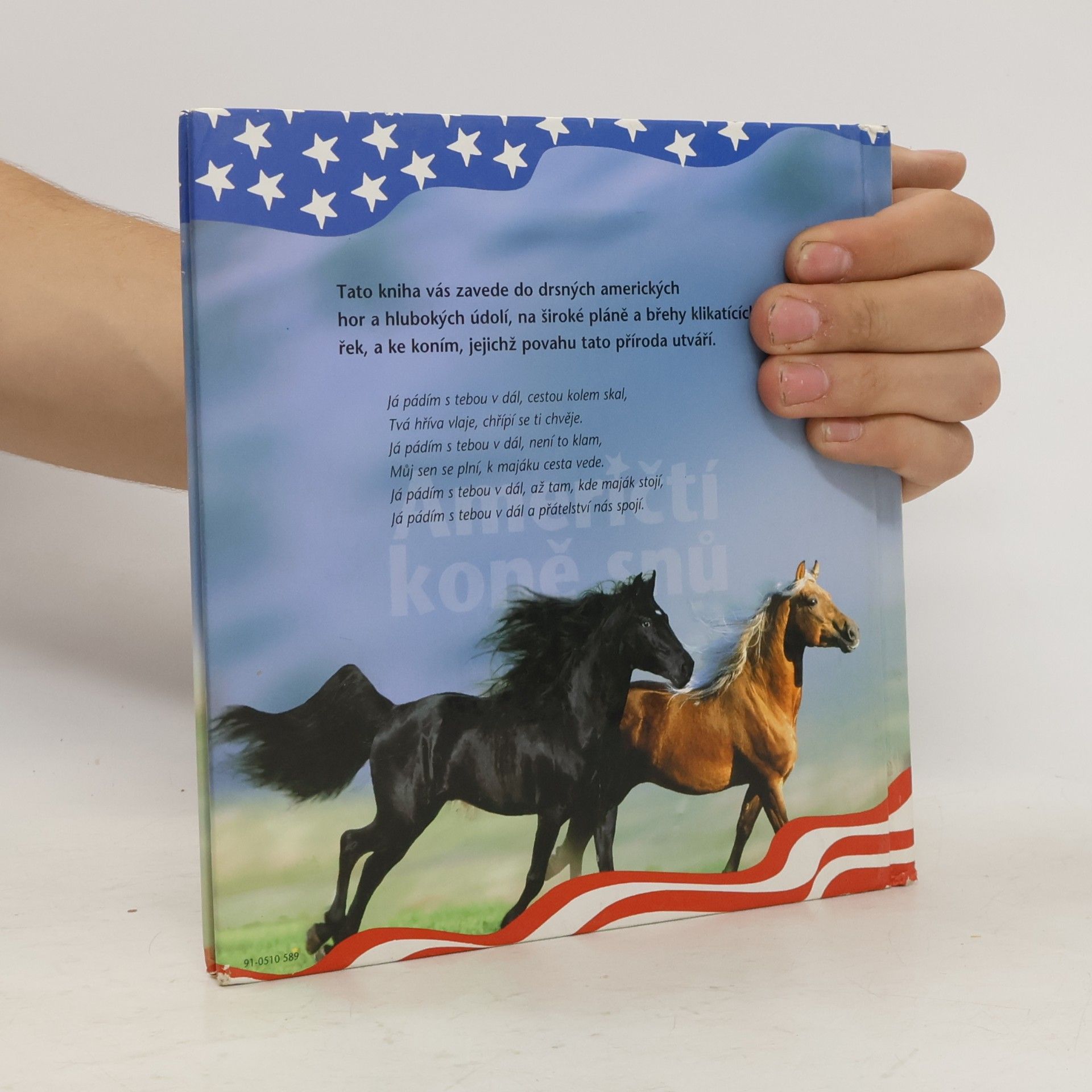 Autores varios Američtí koně snů