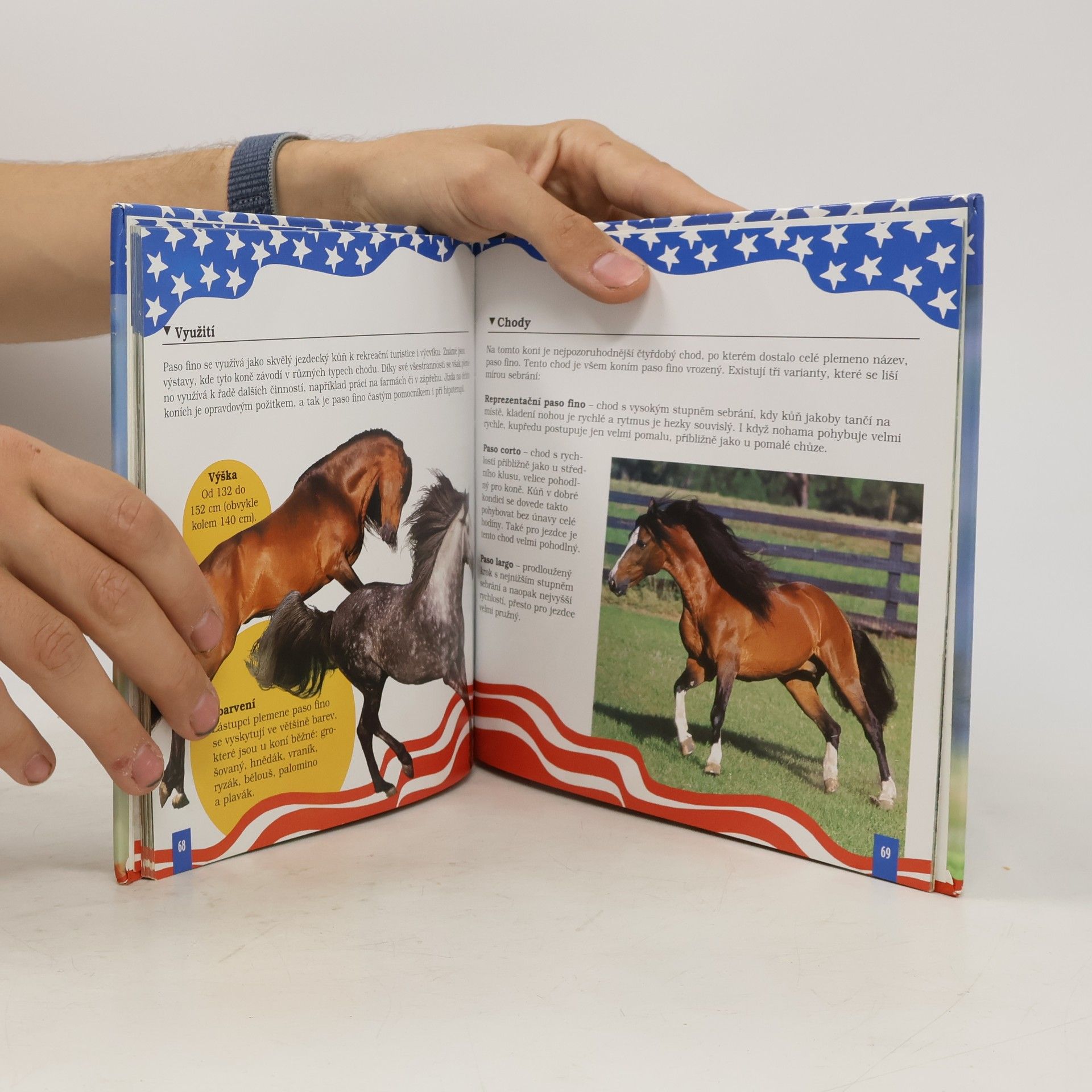 Autores varios Američtí koně snů