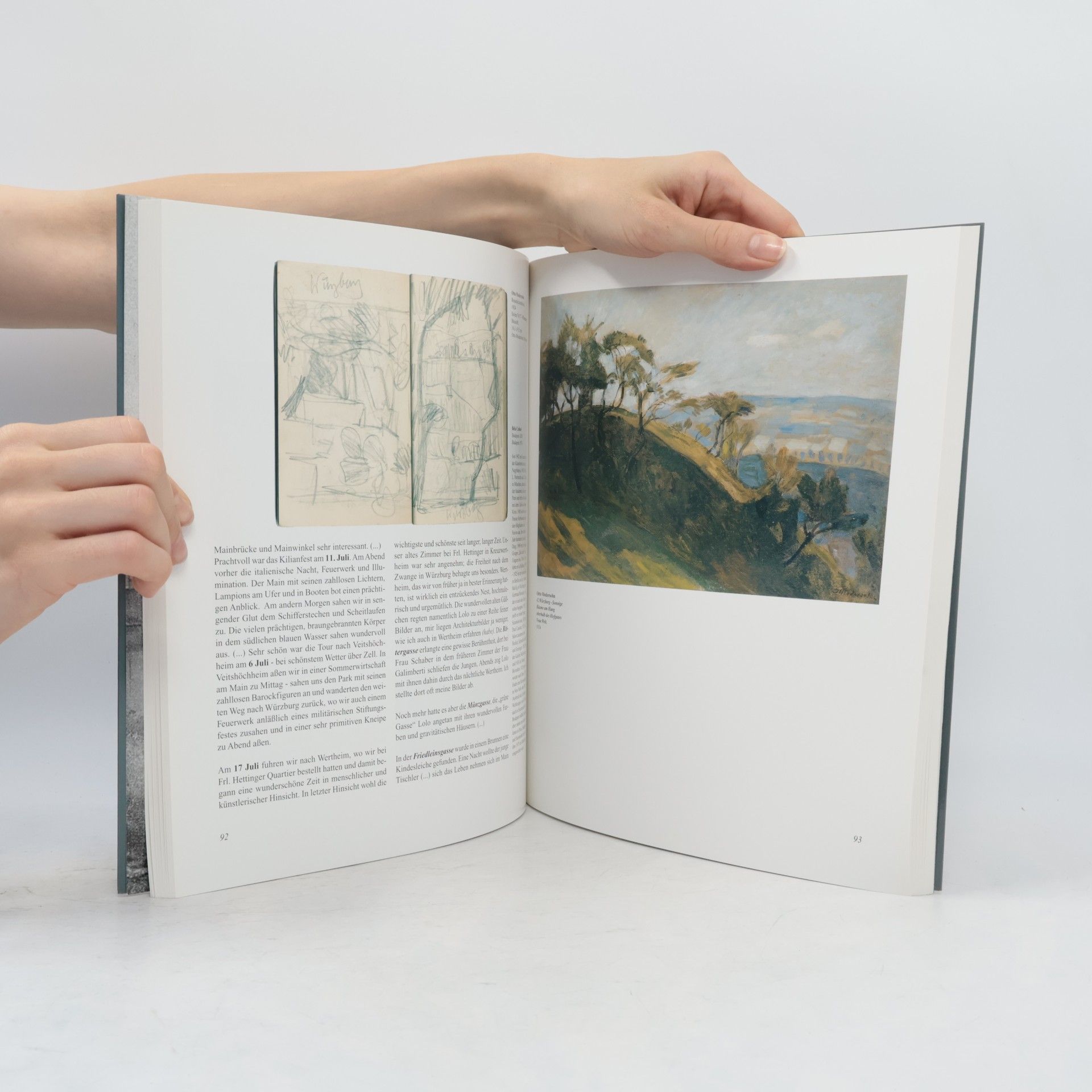 Kolektiv autorů Otto Modersohn, Louise Modersohn-Breling. Die Reisen nach Franken 1916-1927